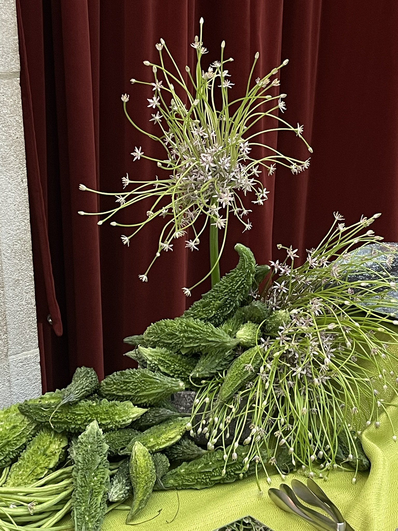 80735D02-3FFD-478B-A4CE-BBAEAACD7609_1_102_o.jpeg