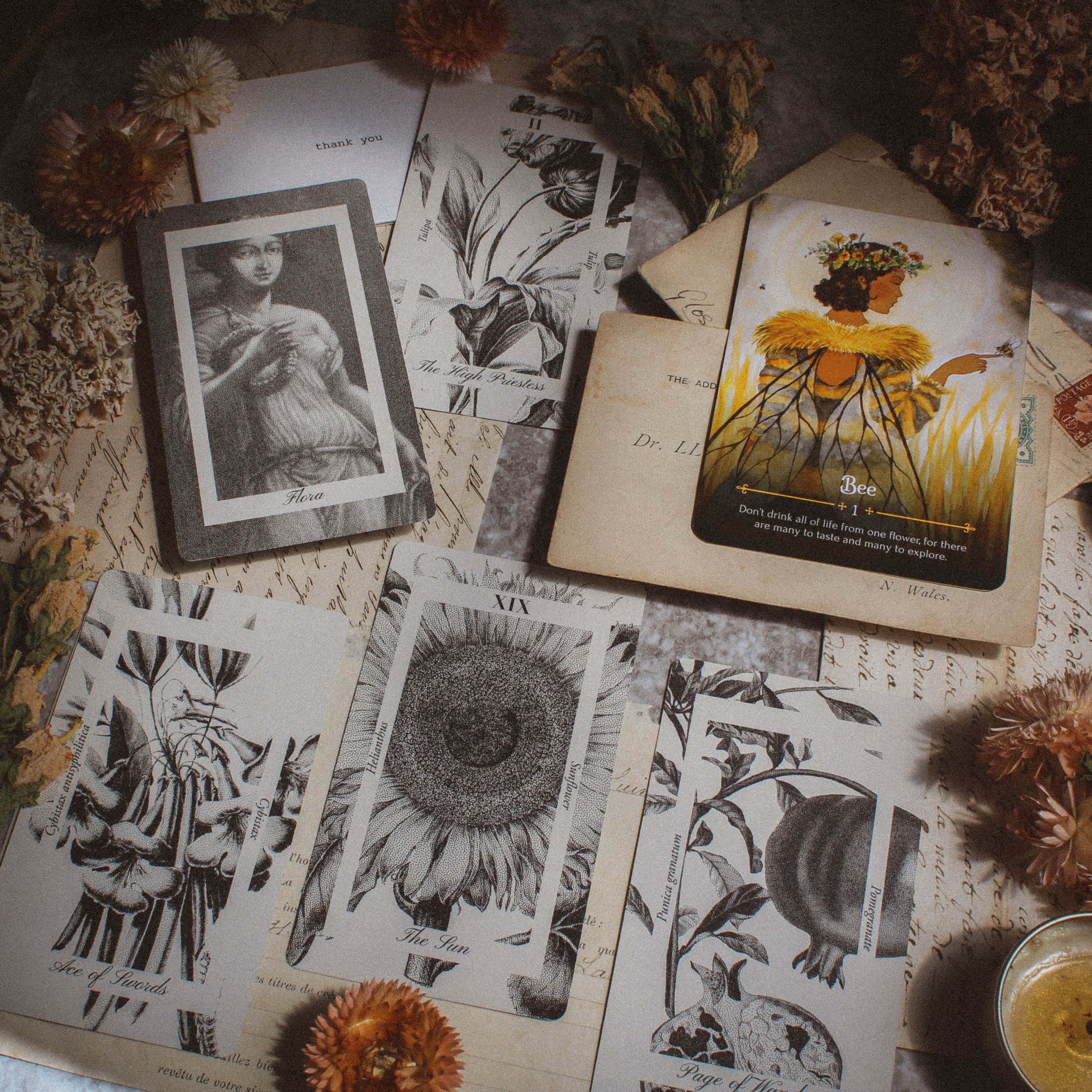 Pretty Rituals tarot readings ft seasons of the witch: beltane oracle.jpg