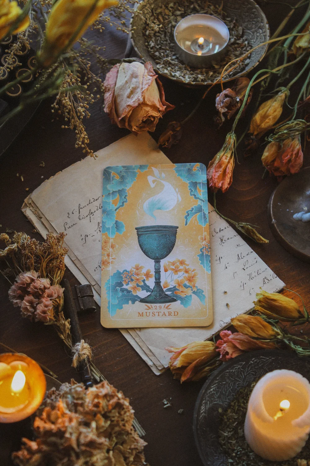 Oracle Card Spring Seeds Rabbit Seed & Sickle Oracle Deck Review — Spirit Element