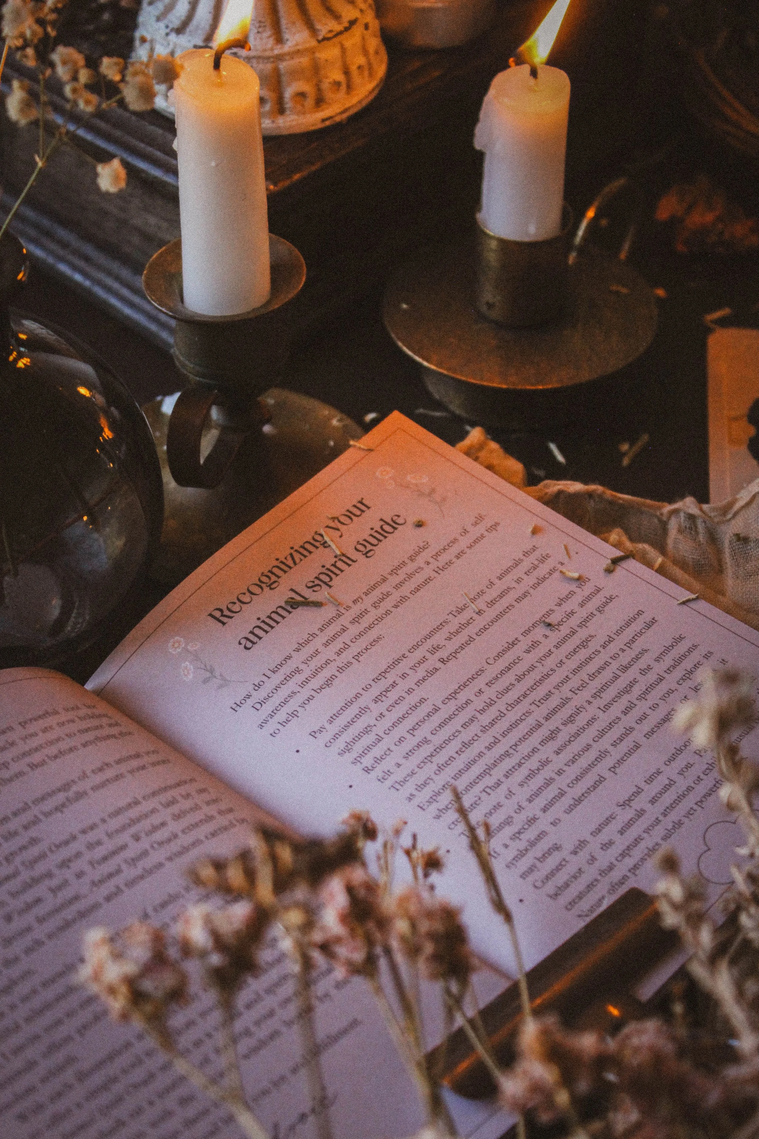 Guidebook
