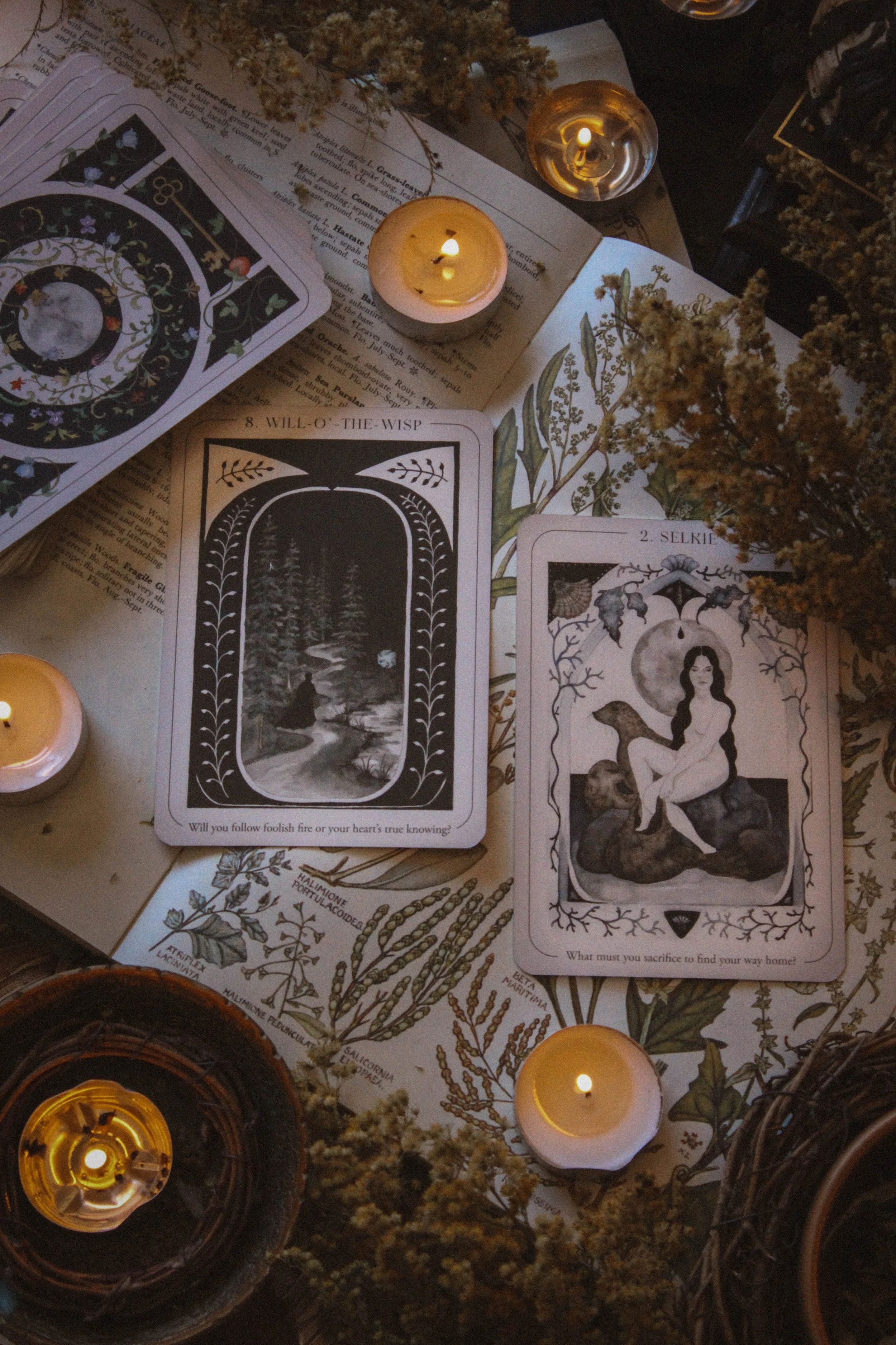 Will-o-the-Wisp & Selkie