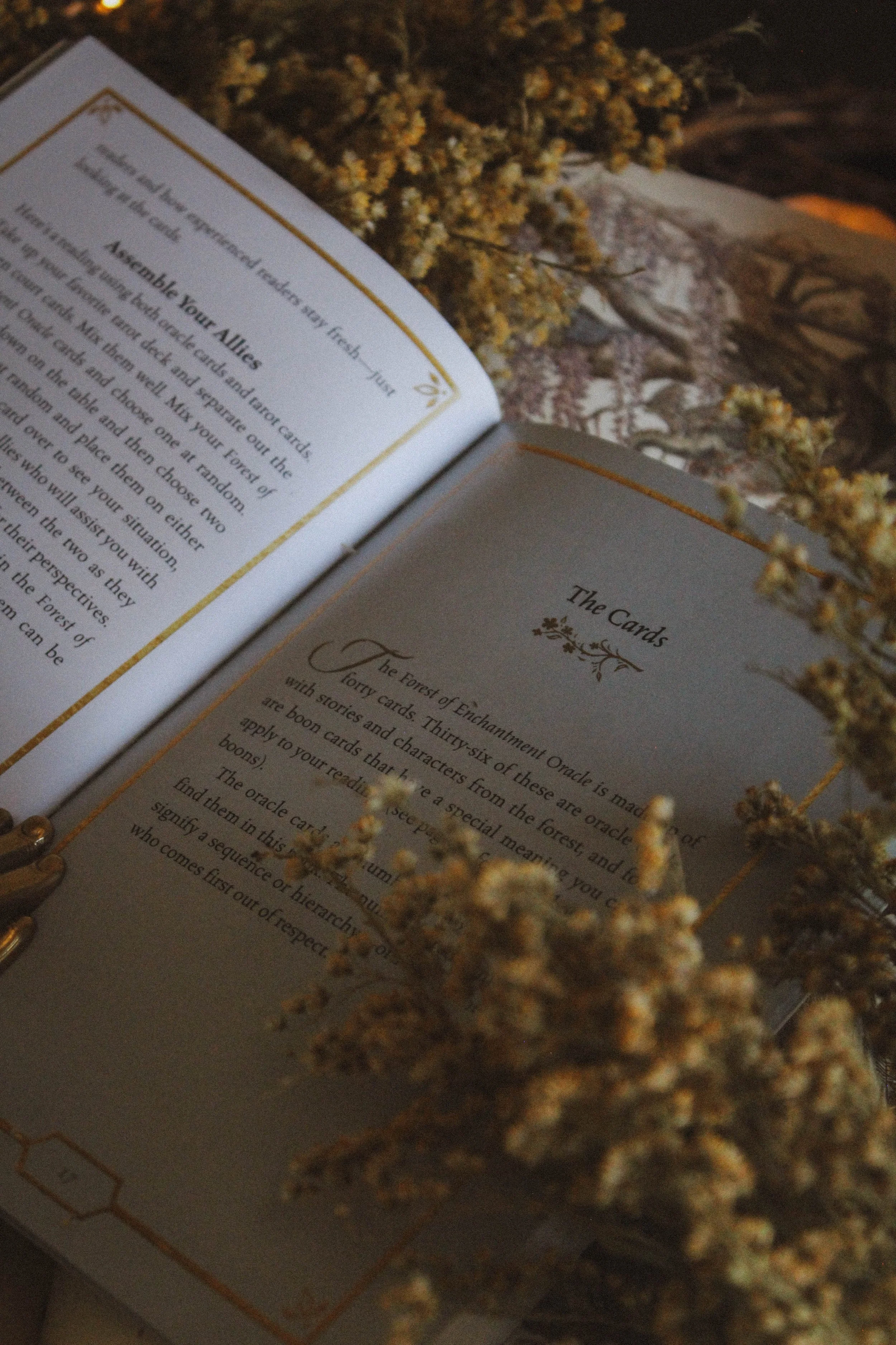 Inside guidebook
