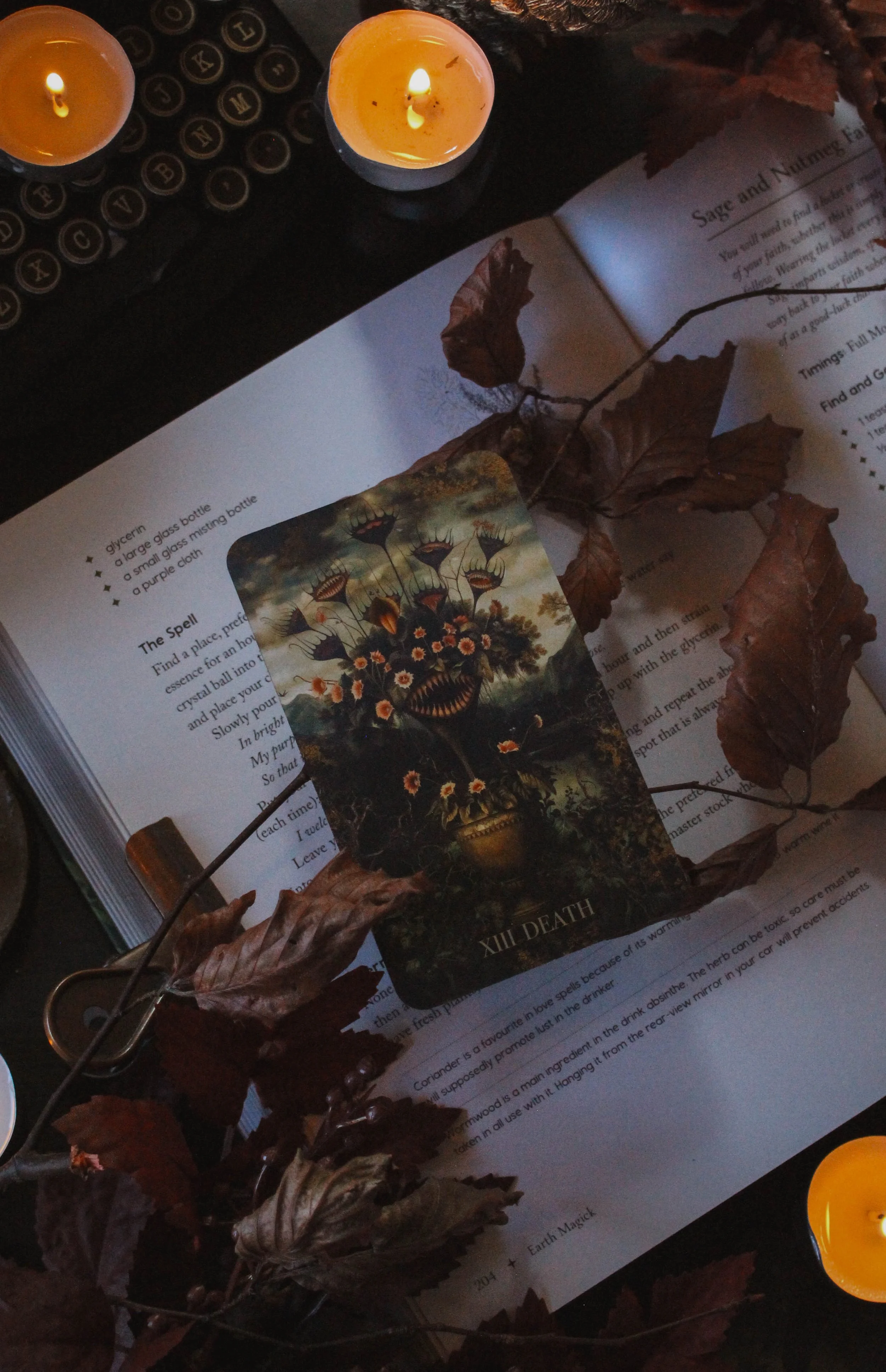 My absolute favorite