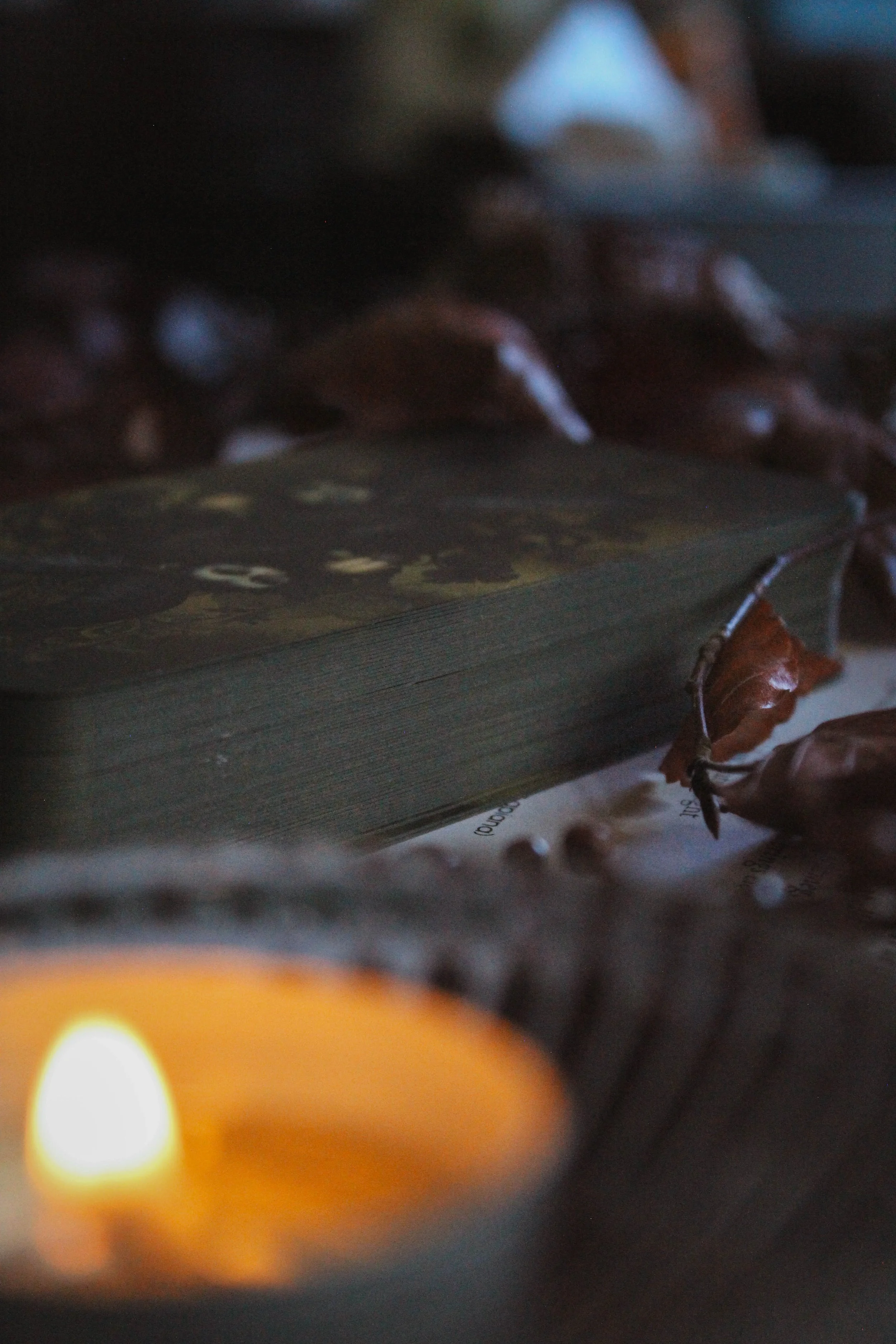 Greenish, blackish grey sides