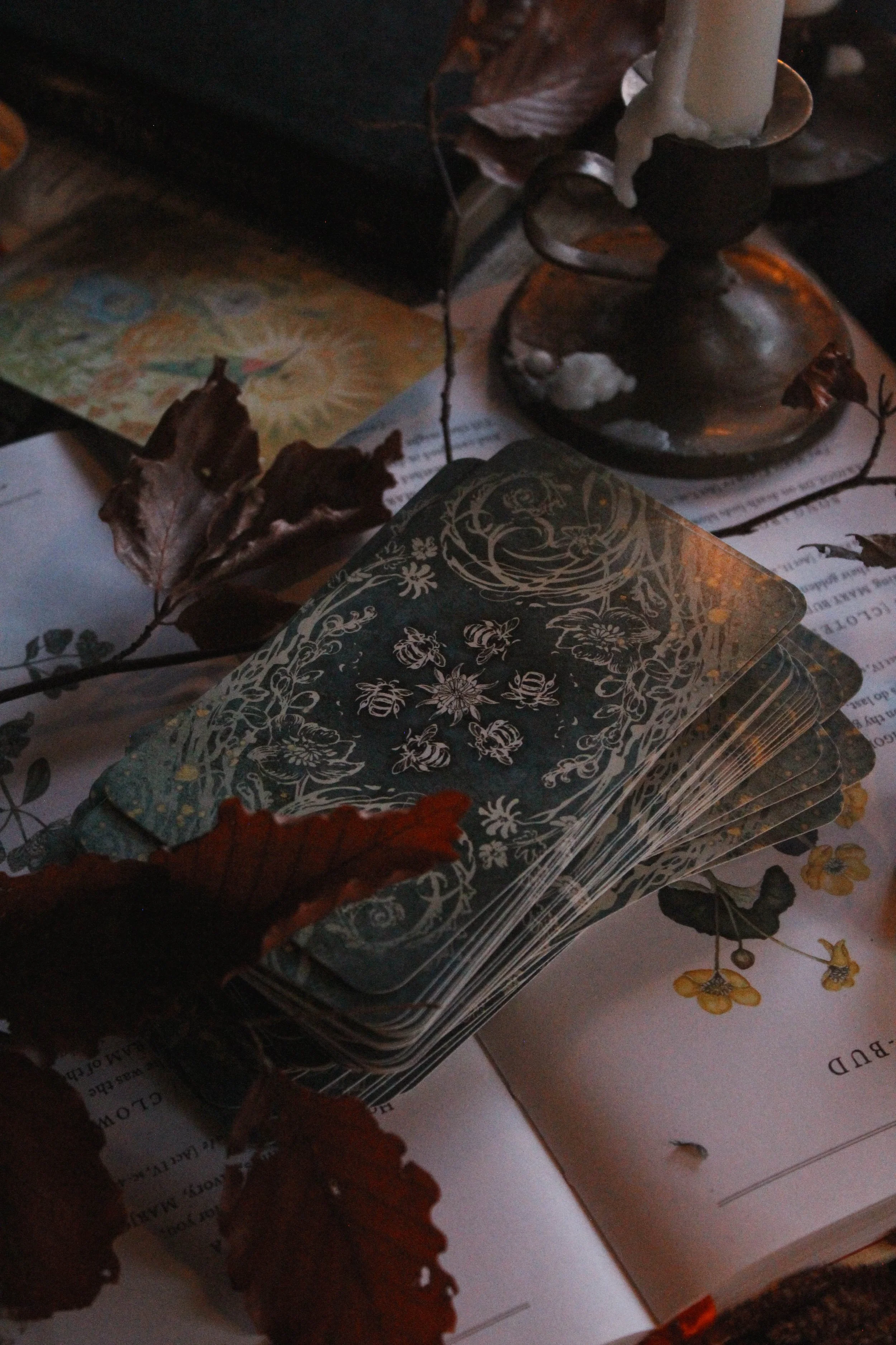 Back of cards