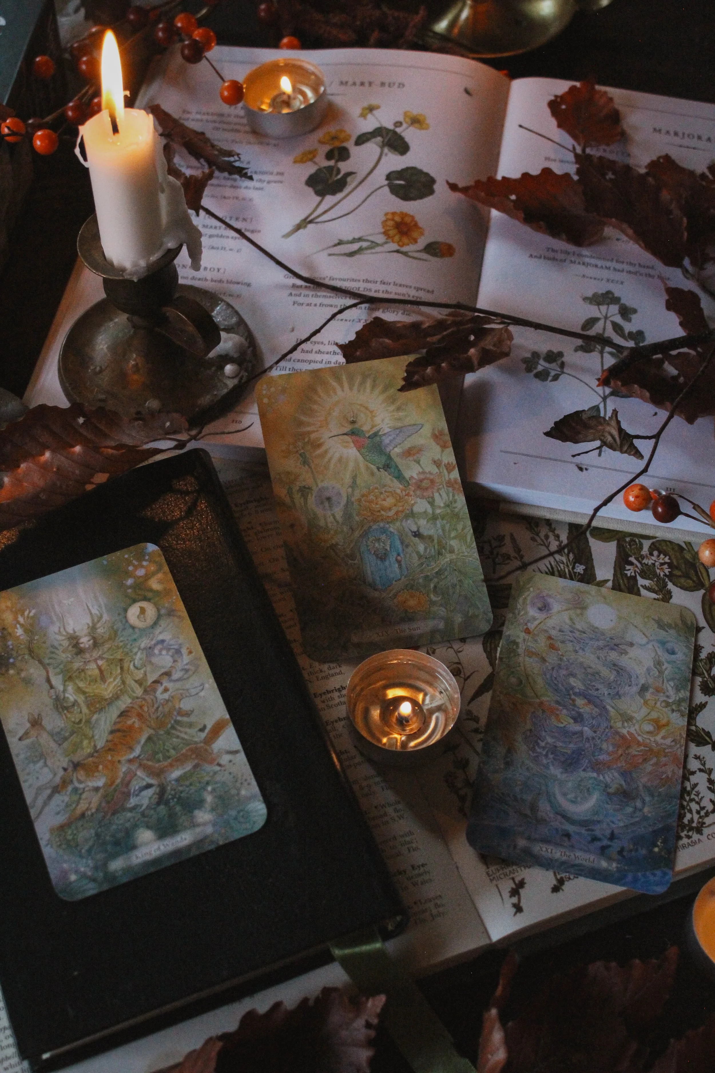 Verdance Tarot Review