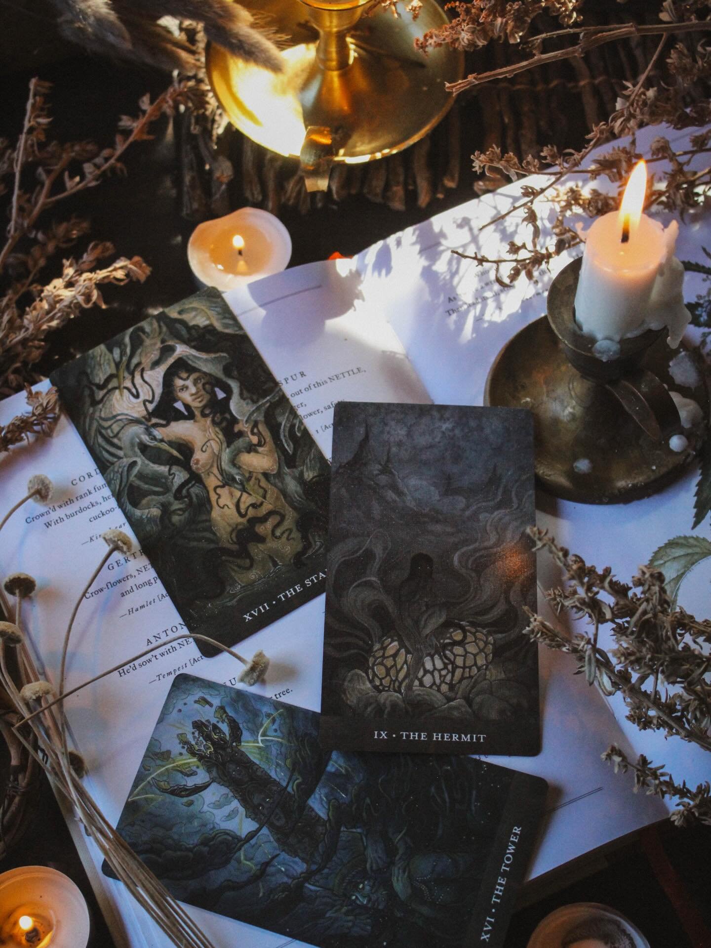 ✨Introducing Blood Moon Tarot✨

The art is dark, muted, and moody &mdash; absolutely my lane &mdash; but it was the experience of this deck that caught me off guard. Matte light oxblood edges, a hardcover guidebook, and a box that feels legitimately 