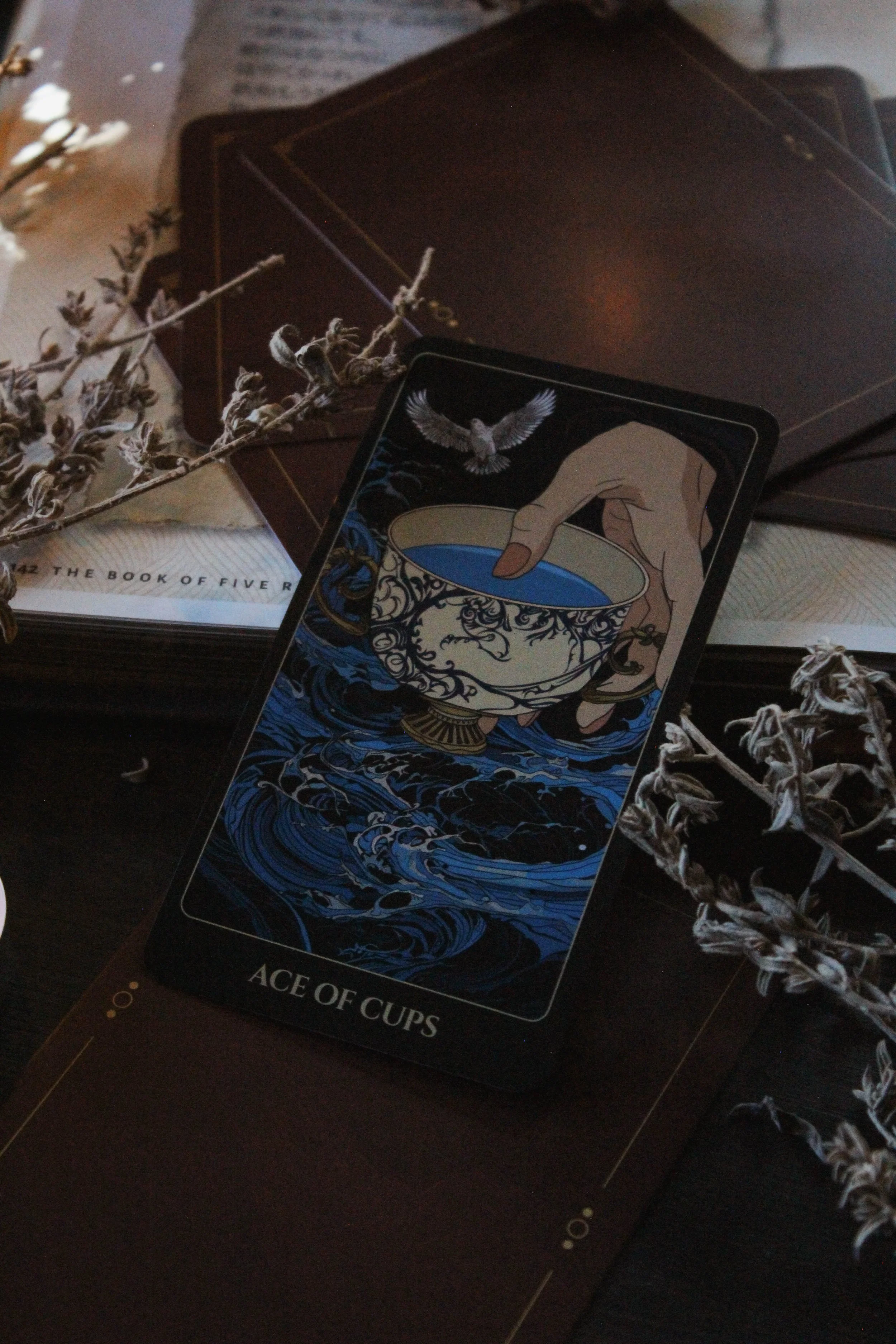 Ace of Cups