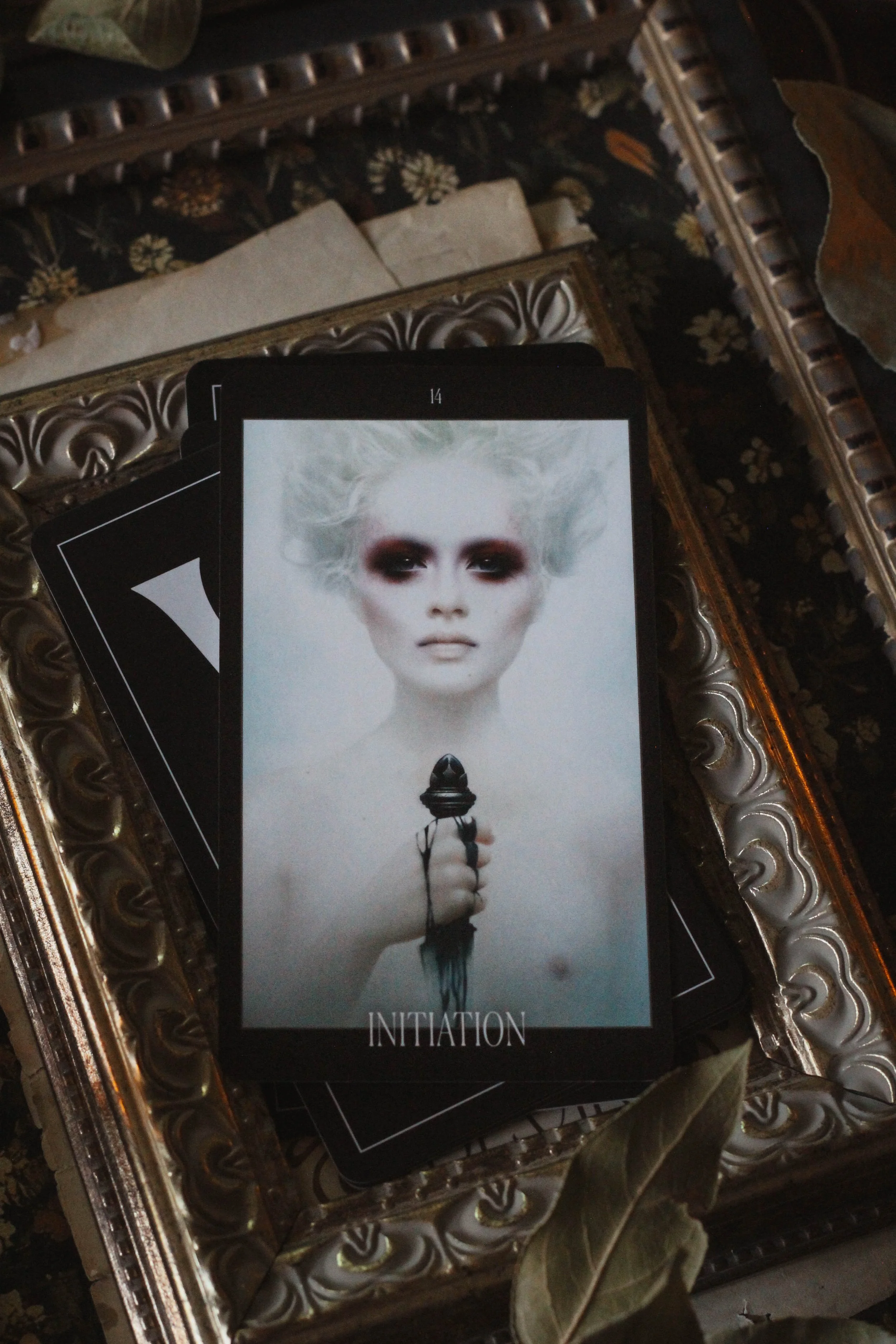 The Oracle Of the Vampire Fae Review 