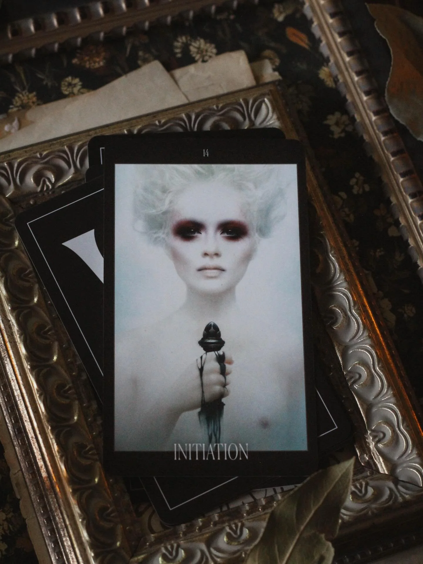 ✨Introducing Oracle of the Vampire Fae✨

I LOVE vampires. They are my favorite out of all the mythical creatures and  this deck just happened to arrive the same day we bought the tickets for Dracula!

But to my surprise, this is not your regular vamp