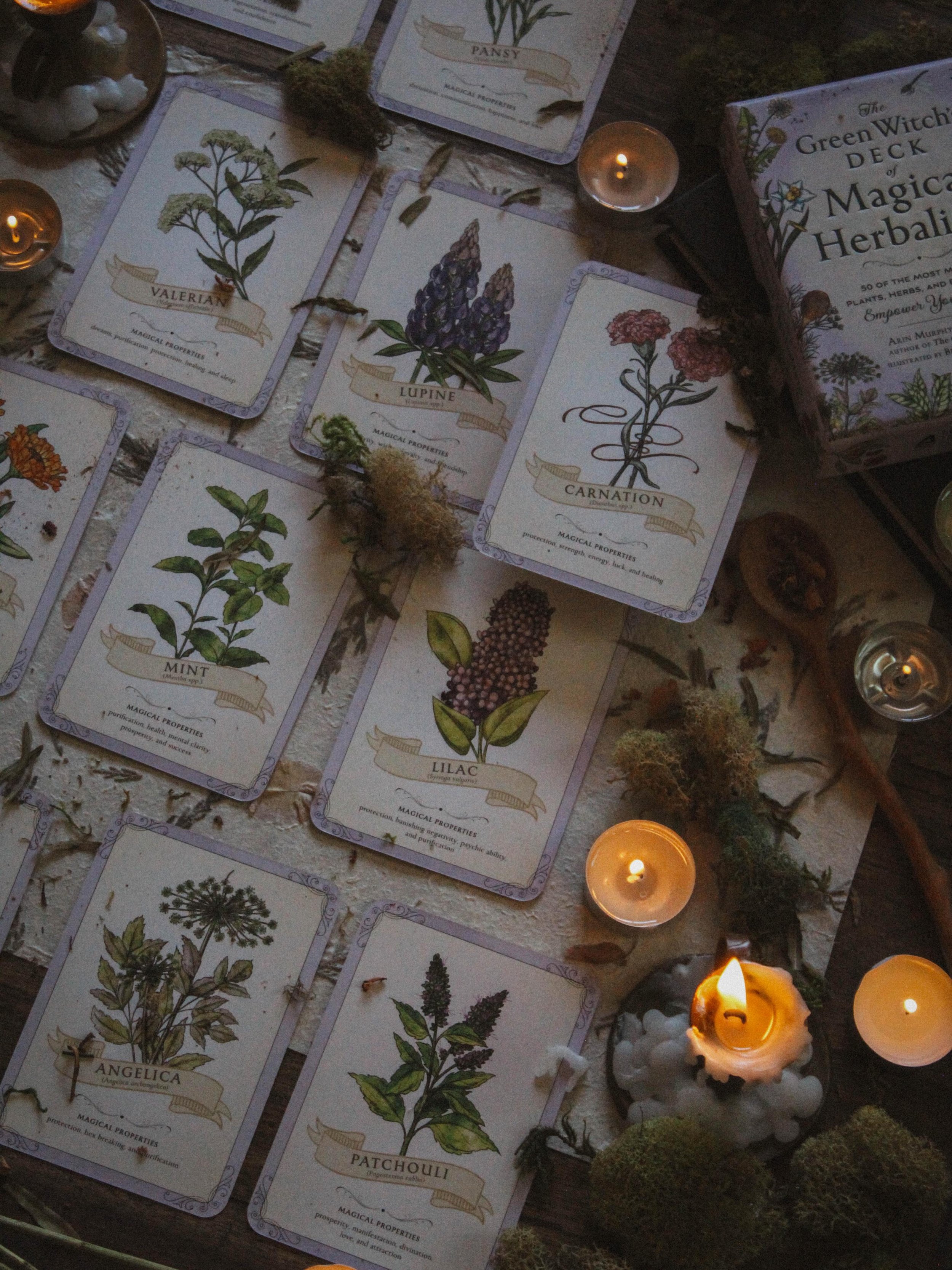 ✨Introducing The Green Witch&rsquo;s Deck of Magical Herbalism ✨

While not a true oracle, I have to say it is incredibly stunning and very useful for herbal magic. 
&nbsp;
If you&rsquo;re interested in green magic and want a practical deck of ritual