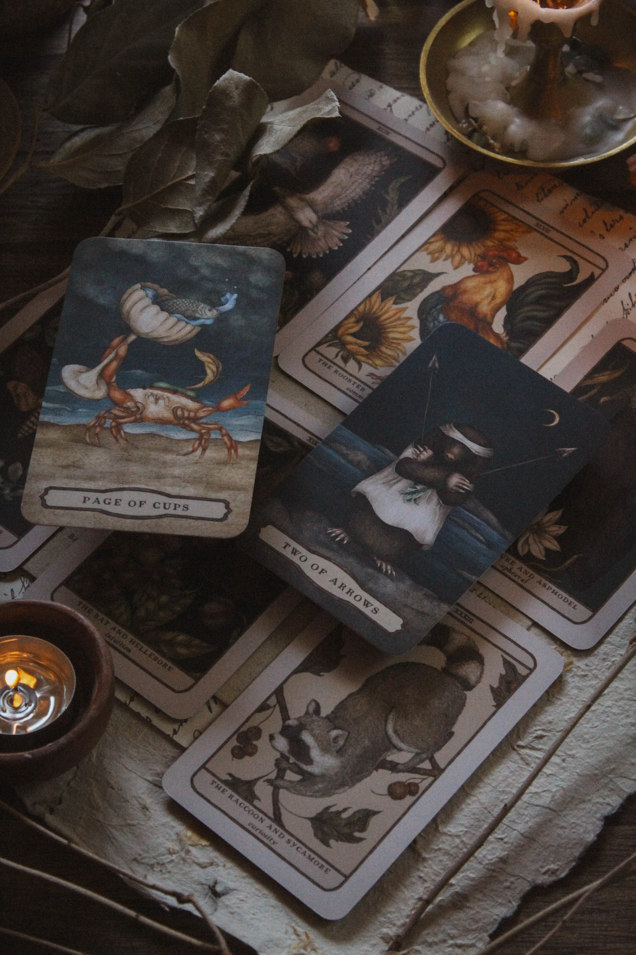 With deck companion