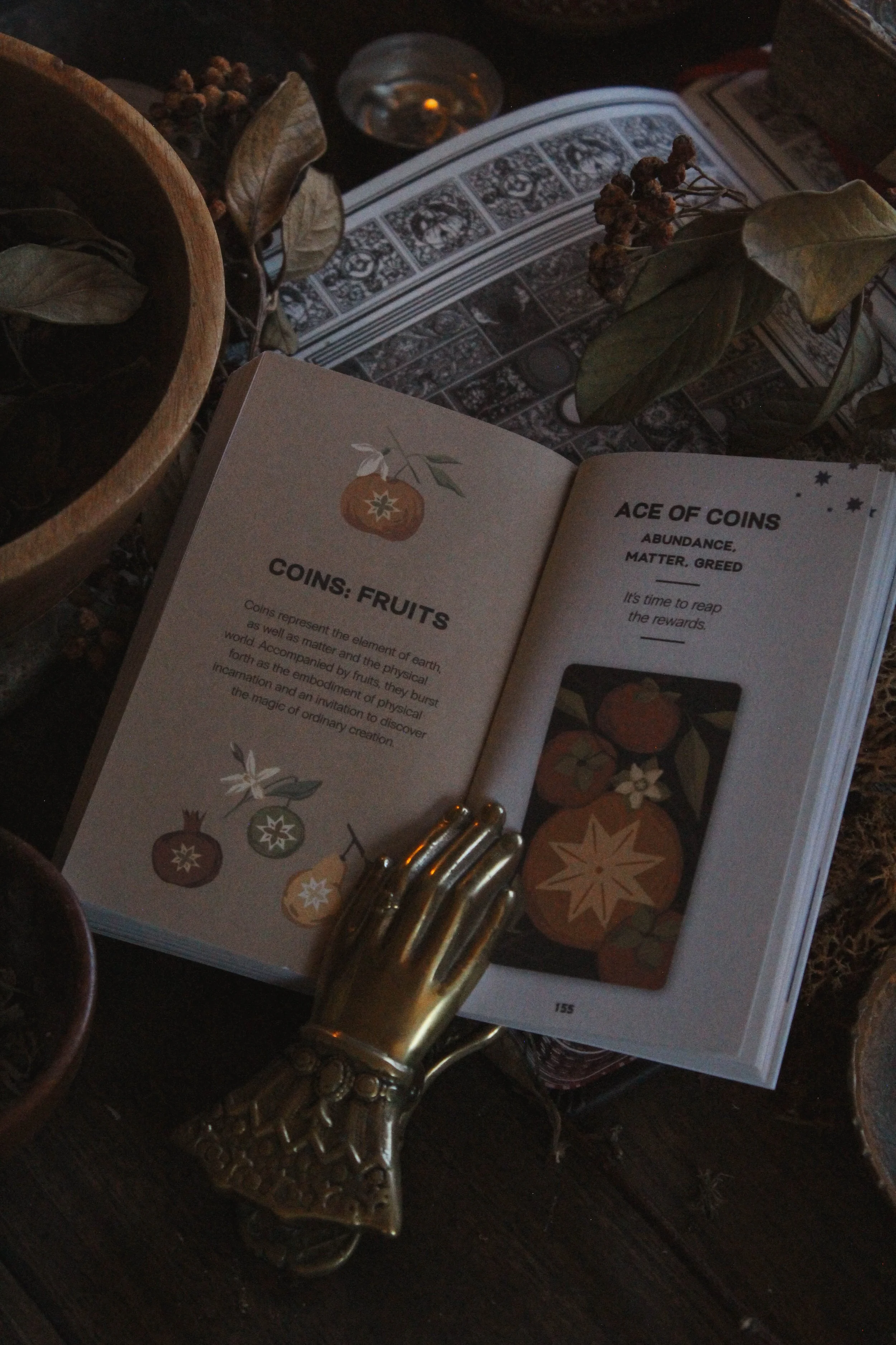 Inside guidebook
