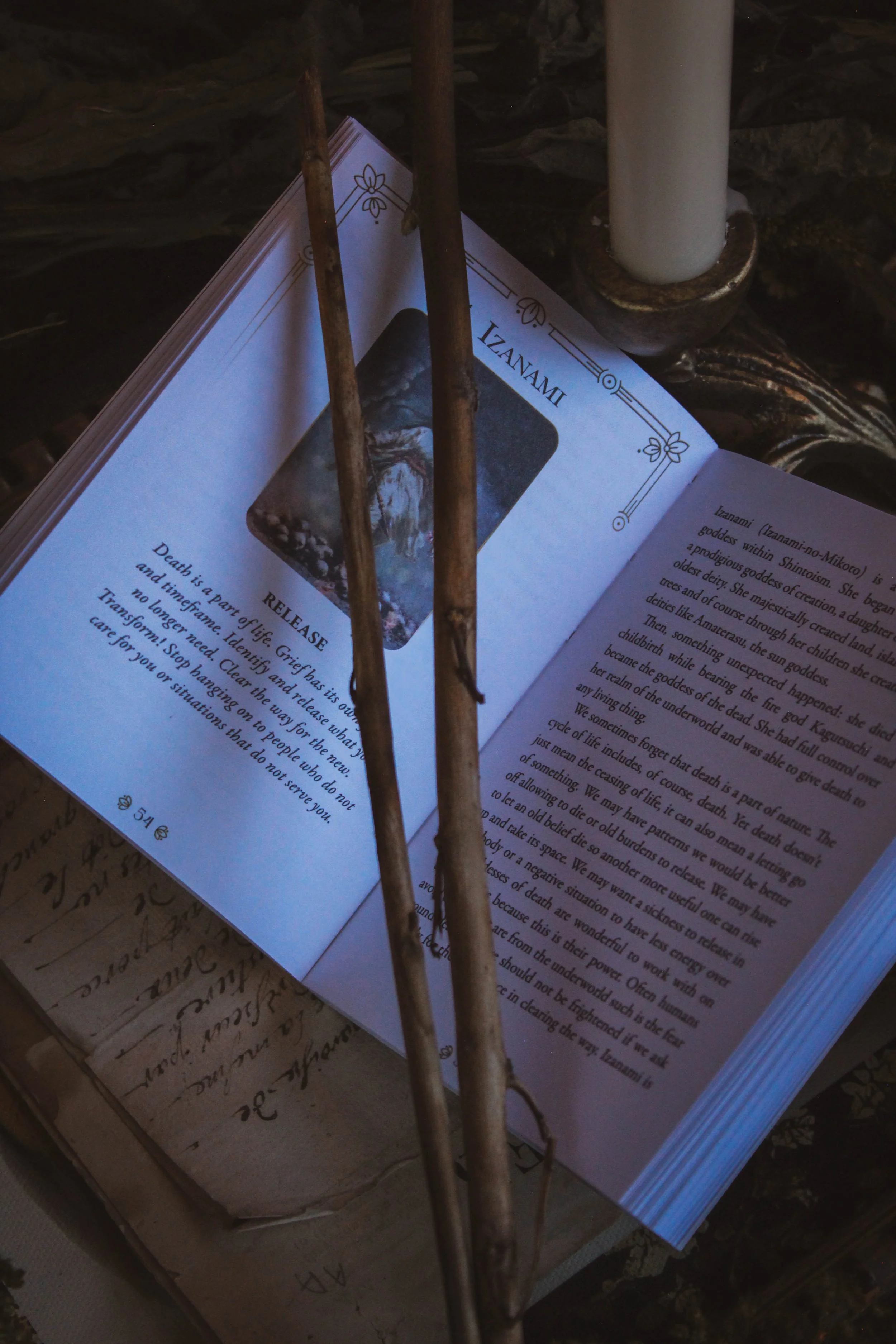 Inside guidebook