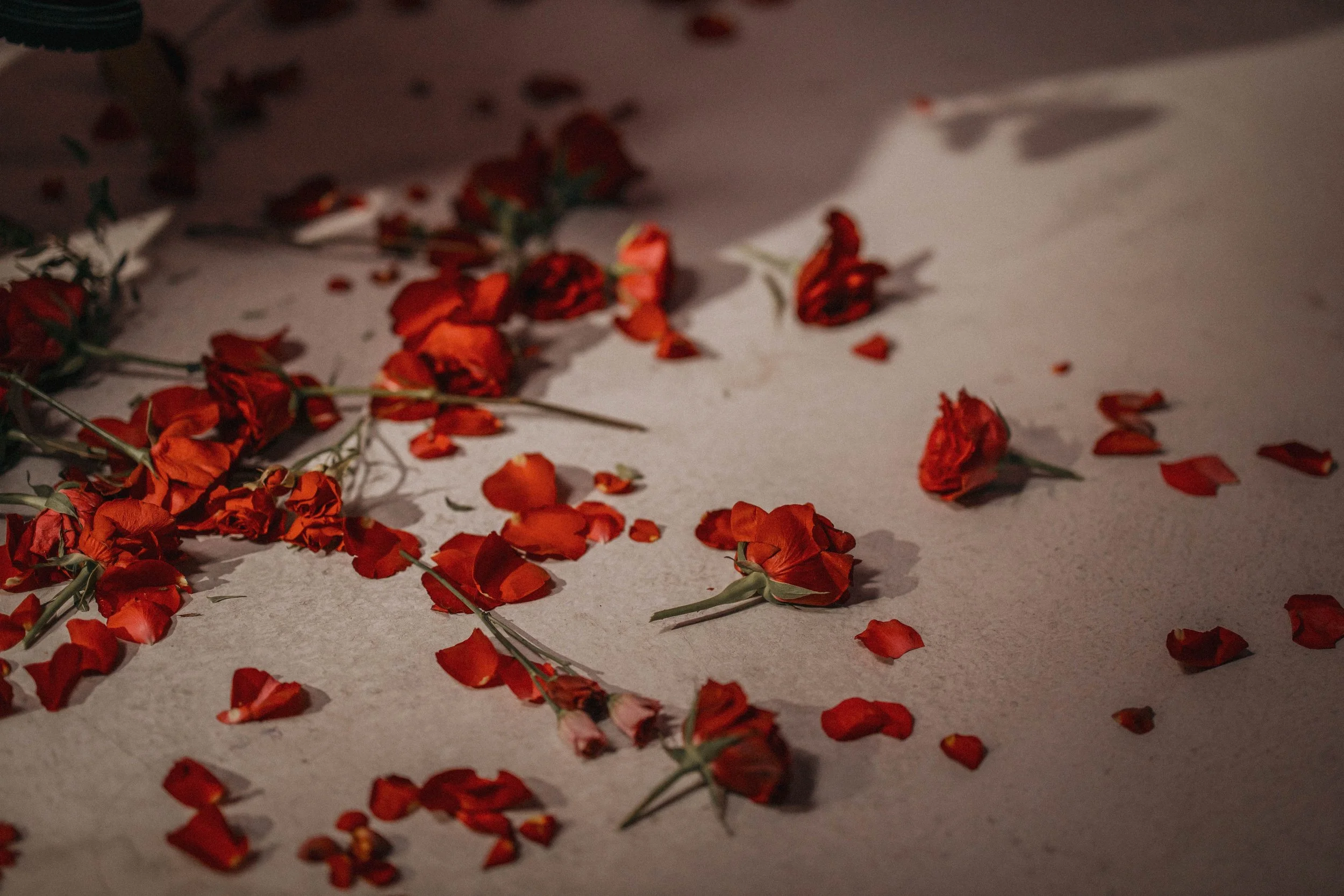 Daily Oracle Pulls: February 9-15