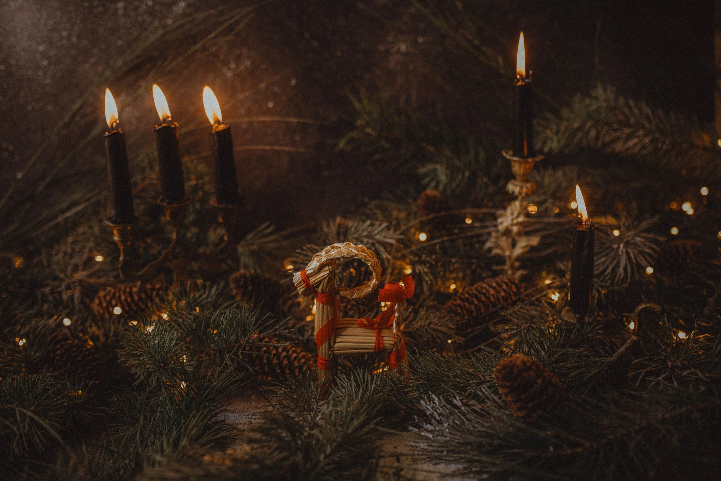 Daily Oracle Pulls: December 15 - 21