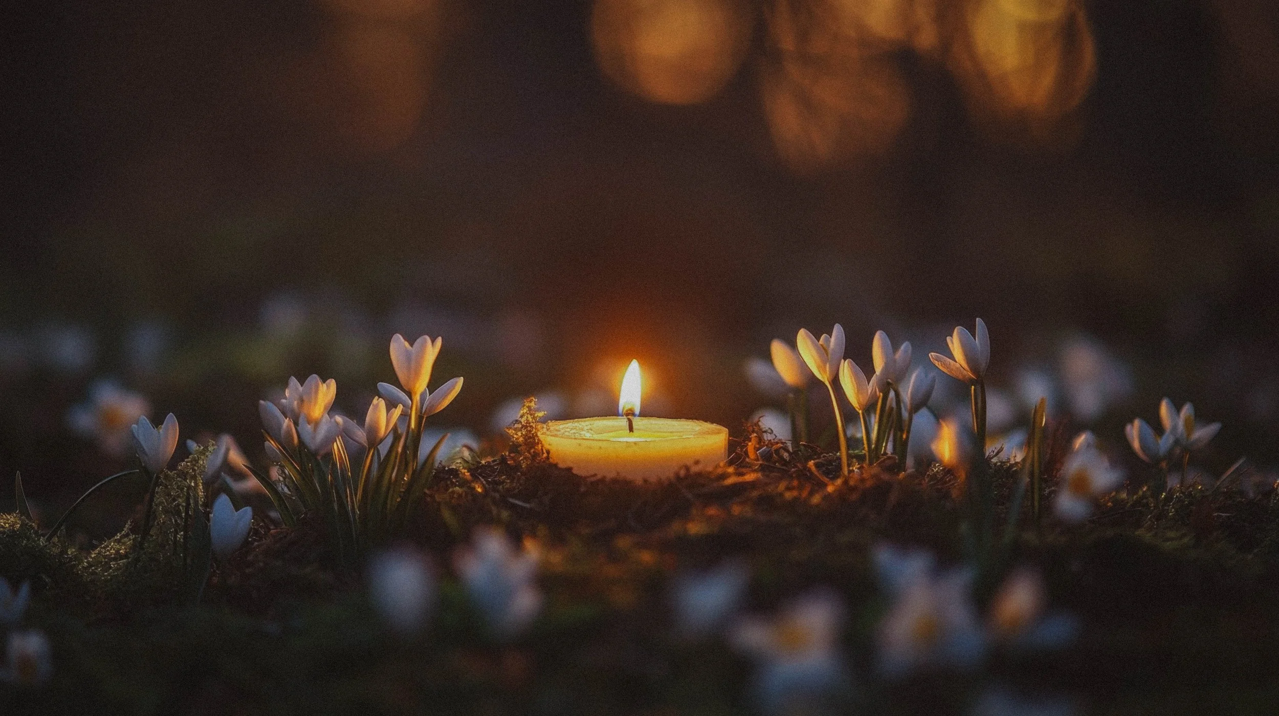 Daily Oracle Pulls: January 26 - February 1