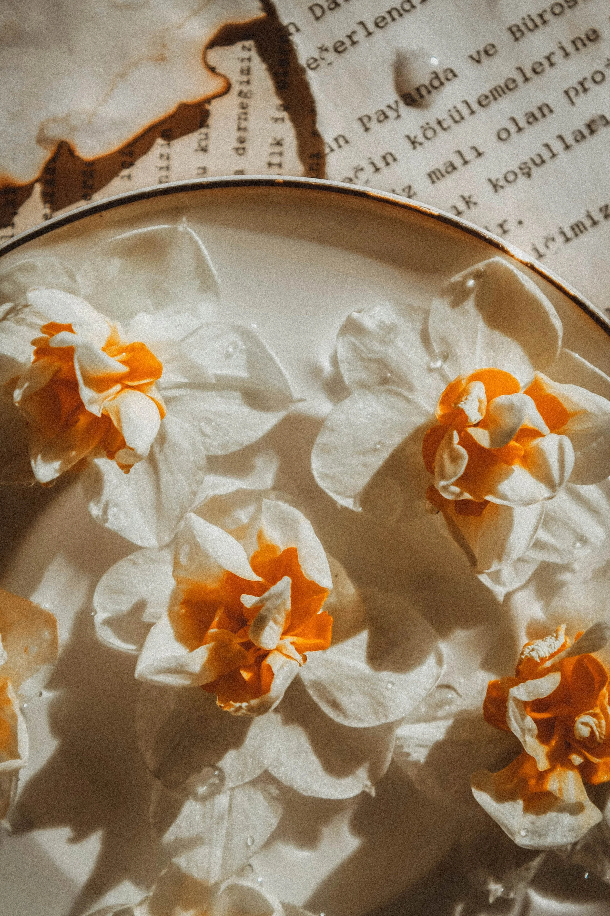 Daily Oracle Pulls: April 27 - May 3