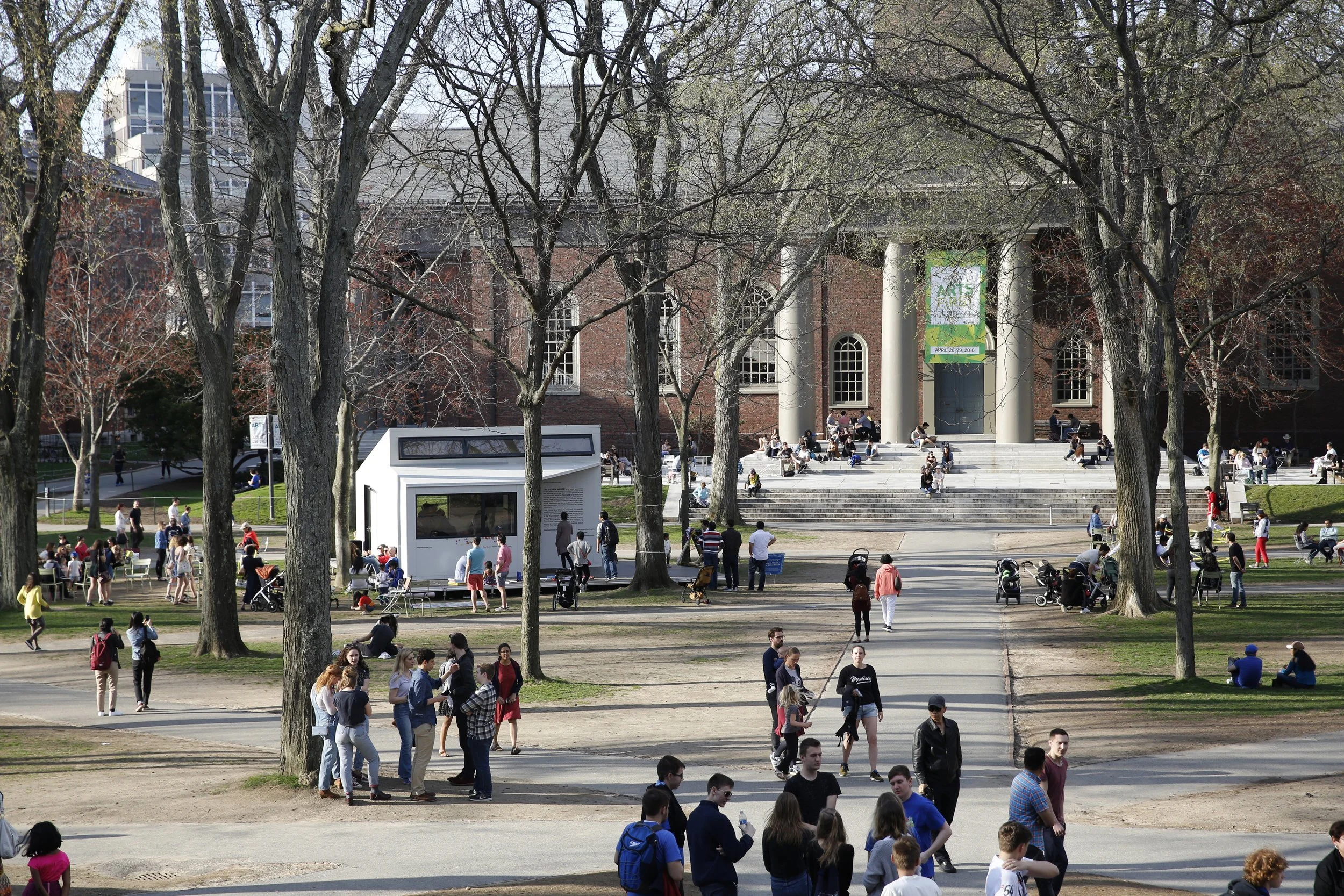 harvard perpsective 1.JPG