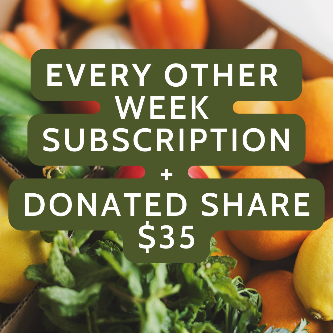 store-1-the-produce-project
