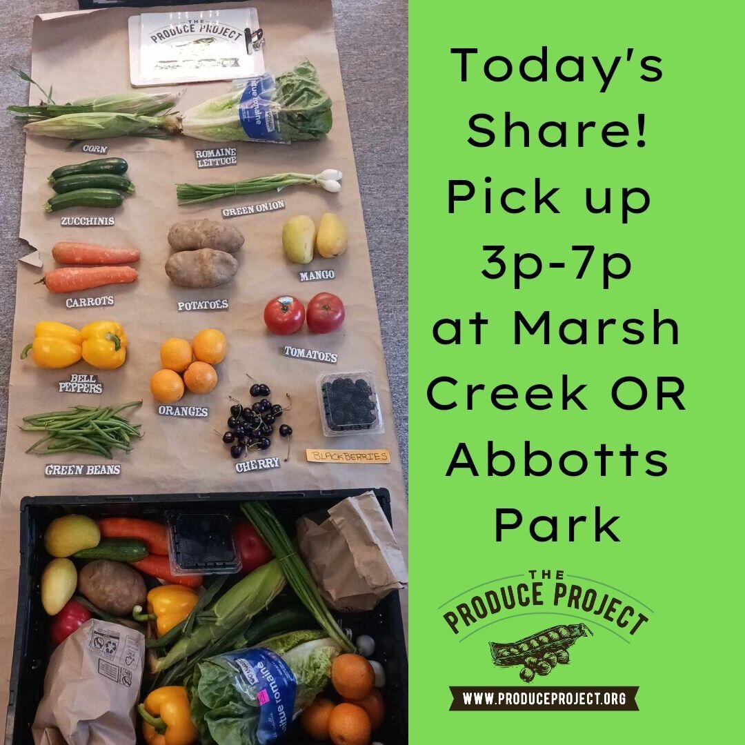 Your produce is ready! Don't forget to thank a volunteer for packing it up for you!