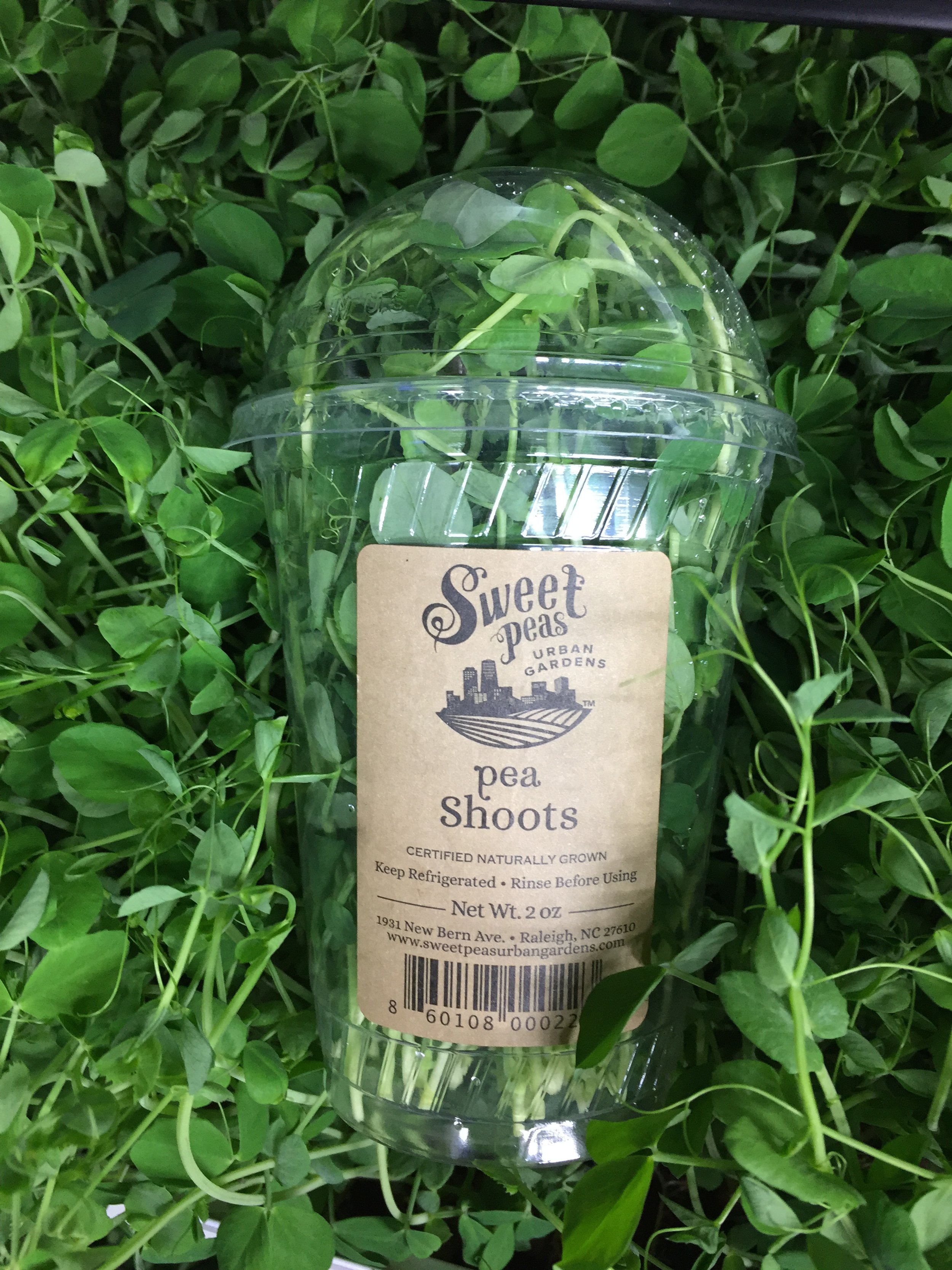 Sweet Pea Shoots