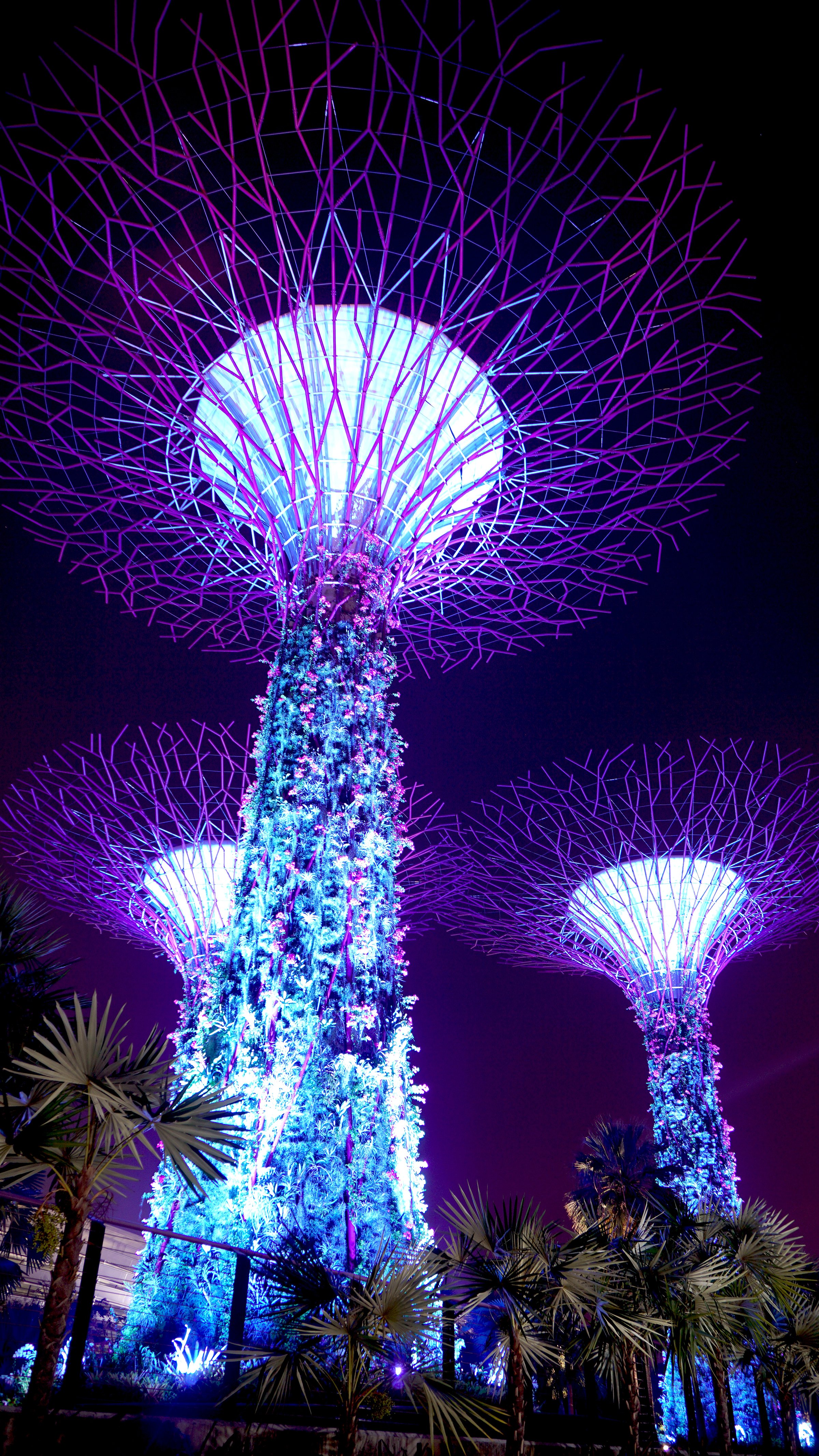 singapore-photography-long-exposure-night-landmarks-mbs-bay-freeman-fung-travelDSC02824_b.jpg