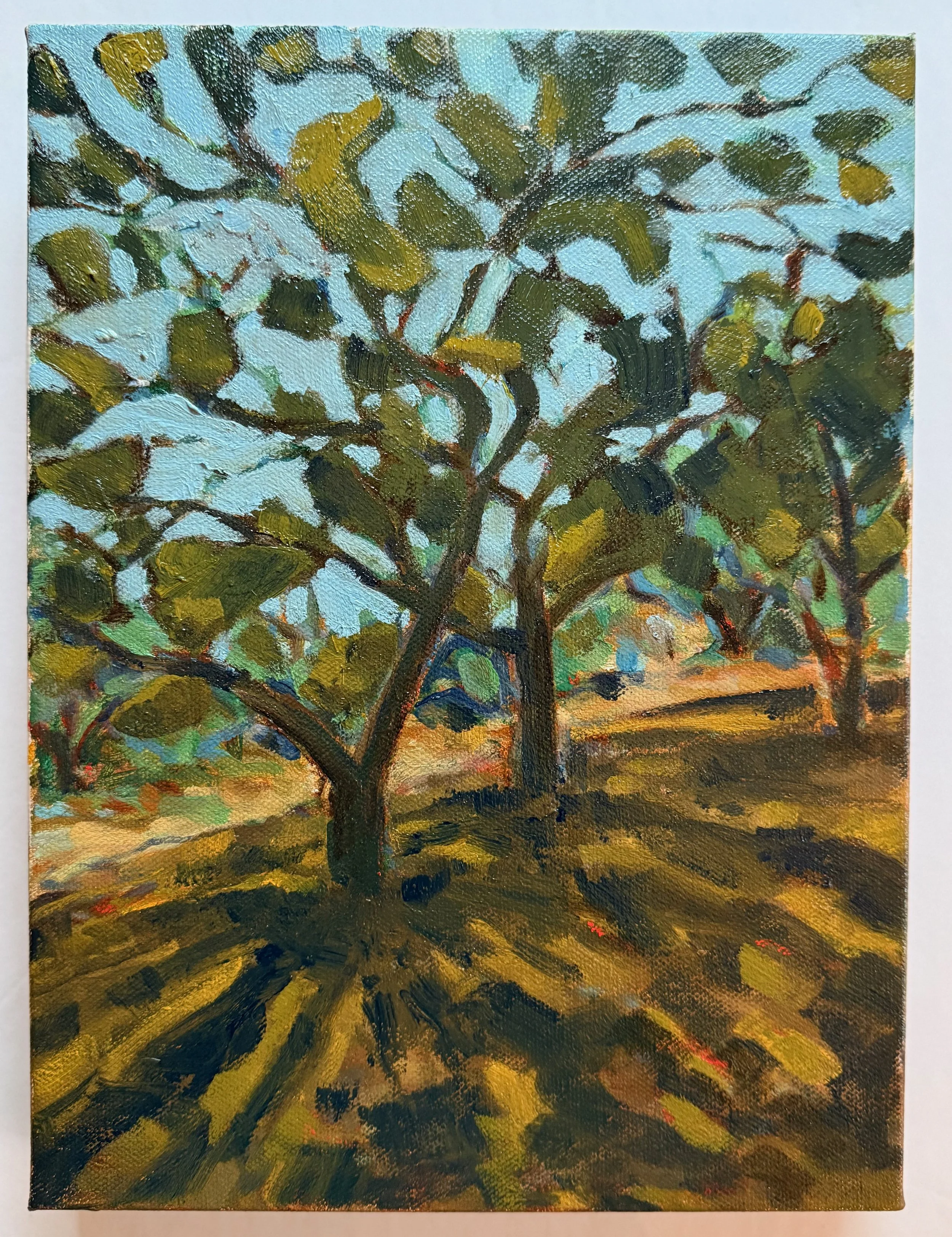 Live Oaks S.A. Park. Oil on canvas, 9x12"