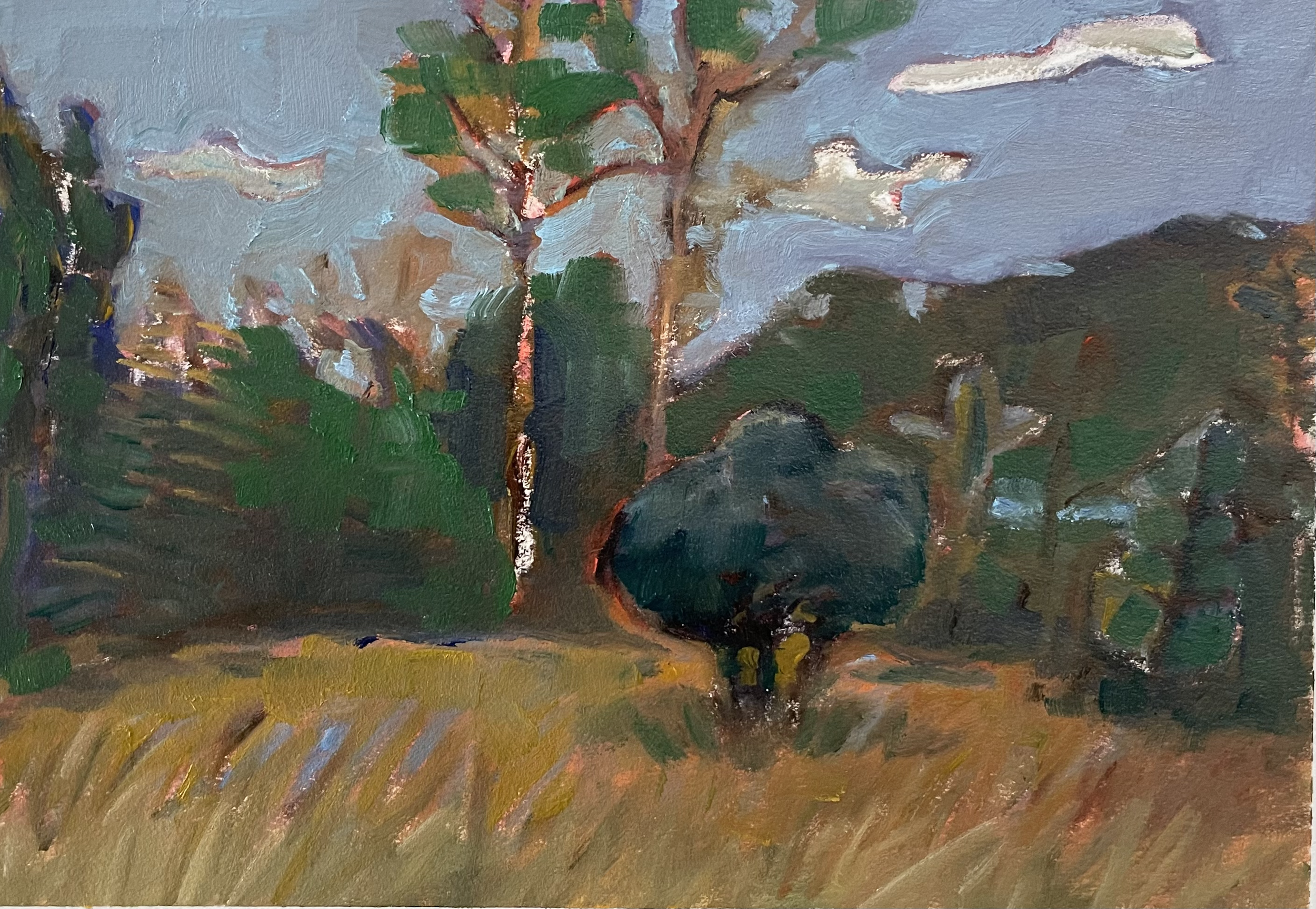 Craftsbury Vermont 2022, 
10 x 7", oil on paper. 
$300