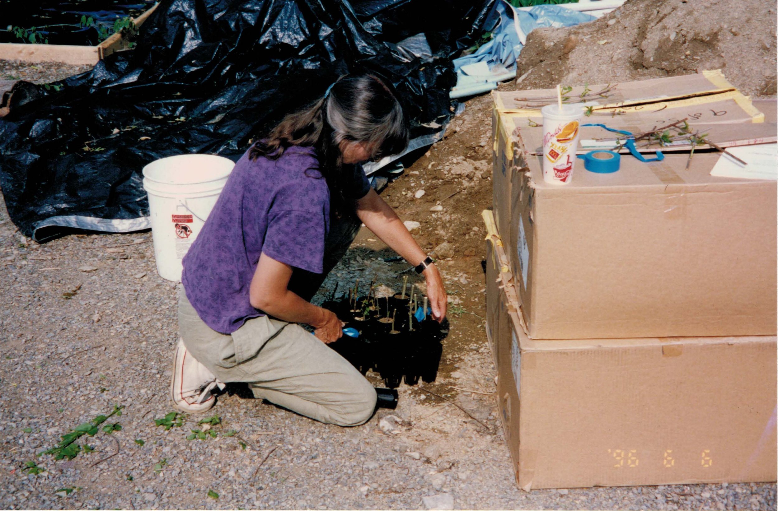 AHWetlandsCreation_1996_GretchenStevenswithplants.jpg