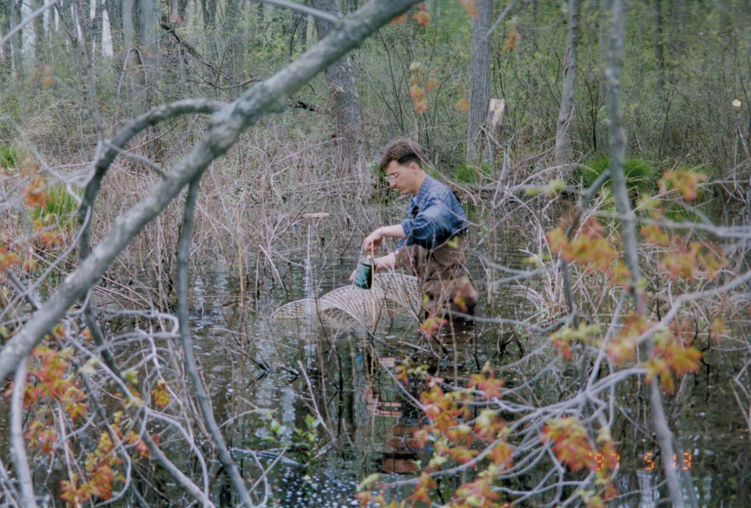 AHWetlandsCreation_1996_settingtraps.jpg