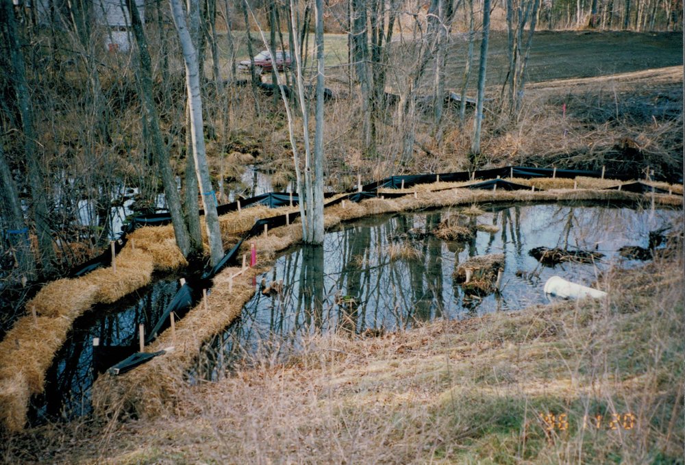 AHWetlandsCreation_1996_wetland.jpg