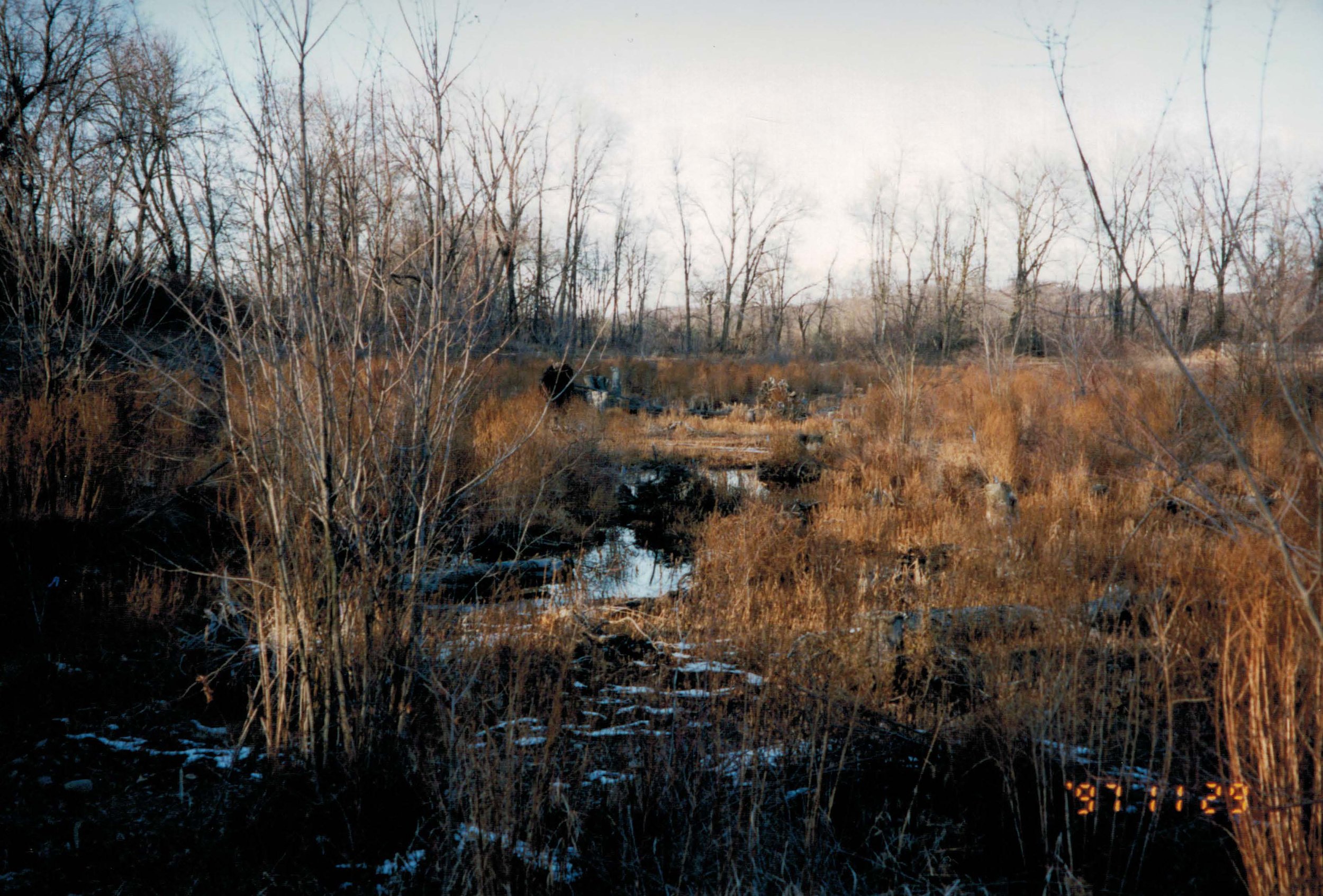 AHWetlandsCreation_1997_wetland.jpg