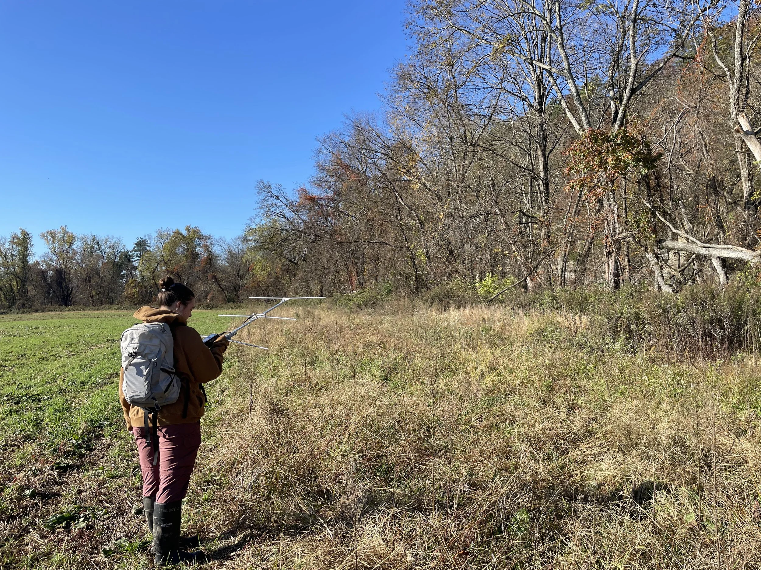 woman holding radio antenna on edge of farm field and woods
