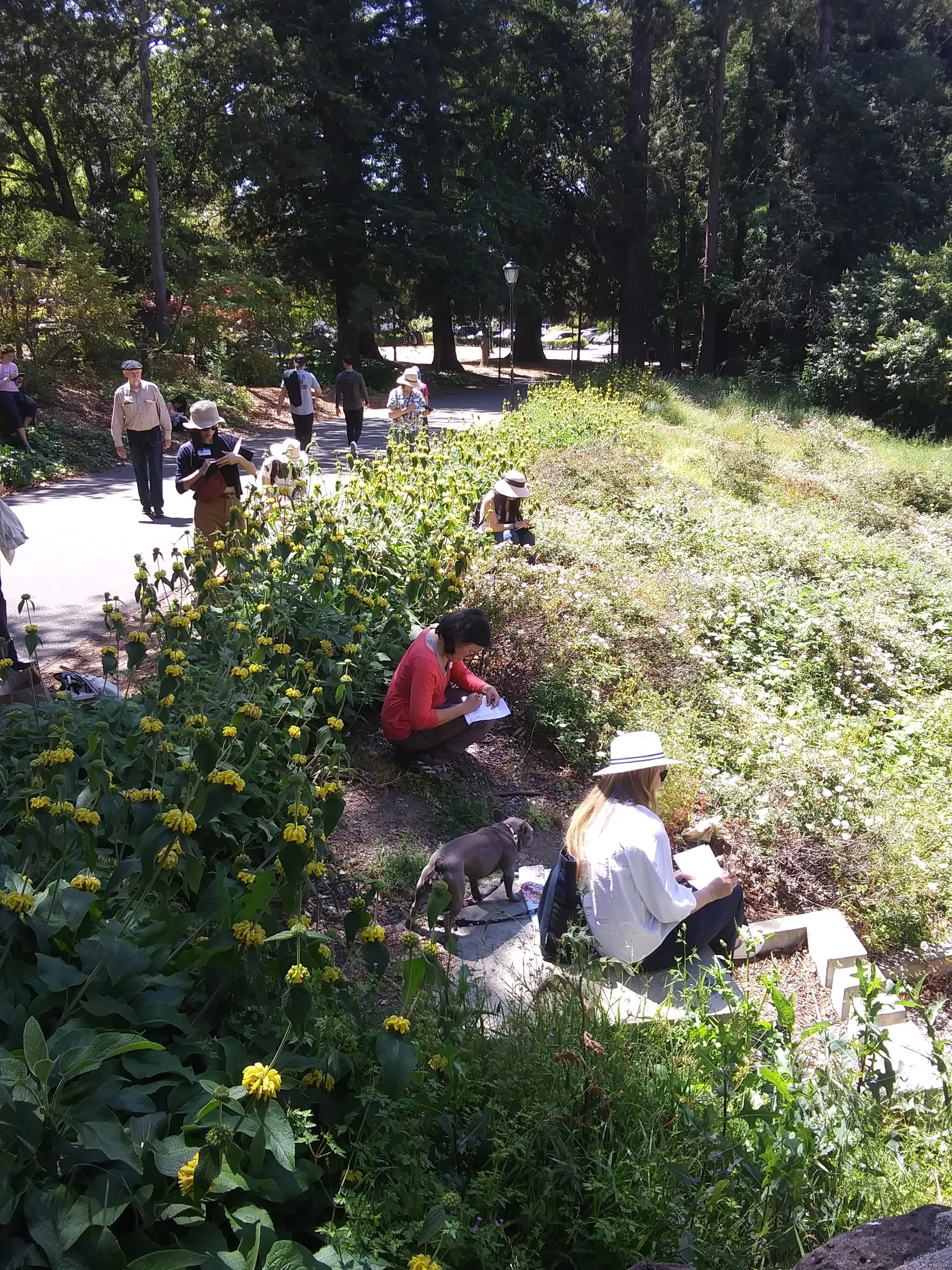 SpiritOfPlace_SketchStroll_Berkeley.jpg