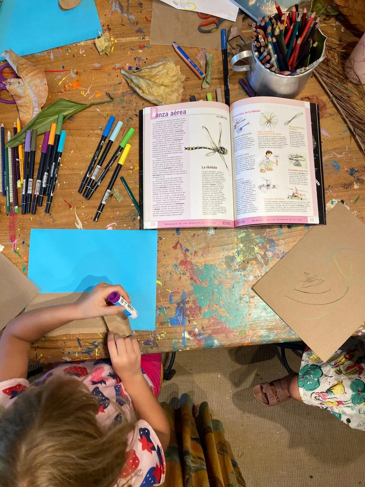 WhatsApp Image 2026-03-05 at 4.52.22 PM.jpeg