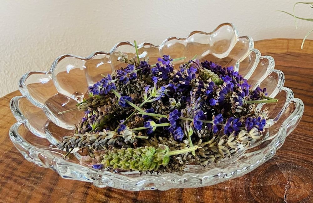 Harvest Dry And Enjoy Lavender — Spruce & Fjell