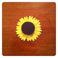  DIY flower magnet 