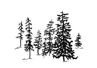  free graphic of trees to color, paint or use as stamp 