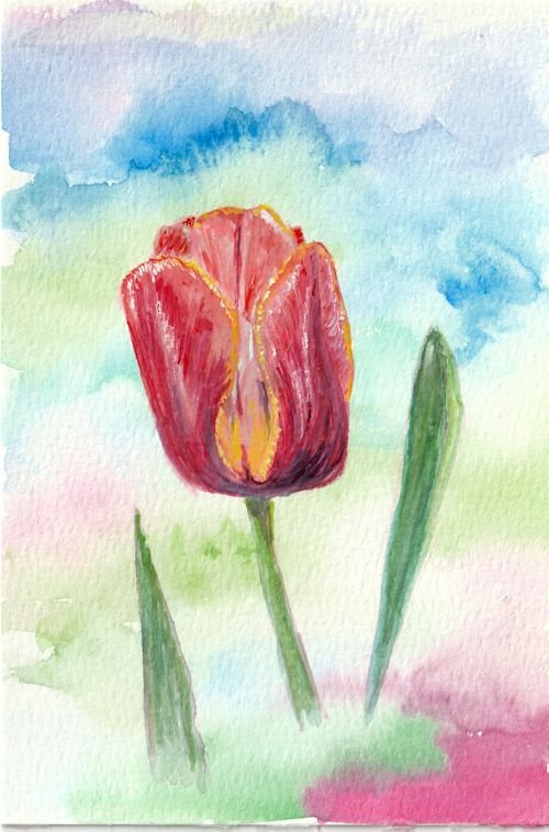 tulip watercolor painting