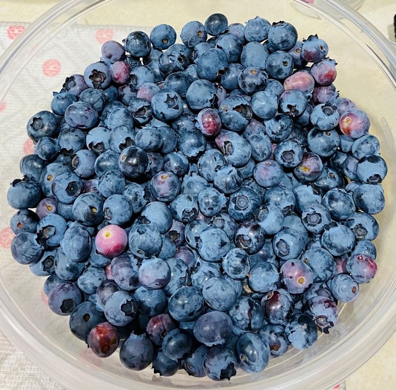  fresh picked blueberries 