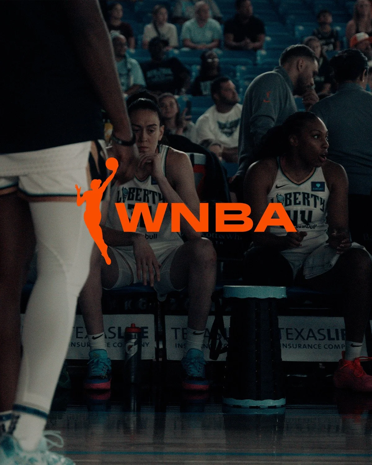 WNBA TN.jpg