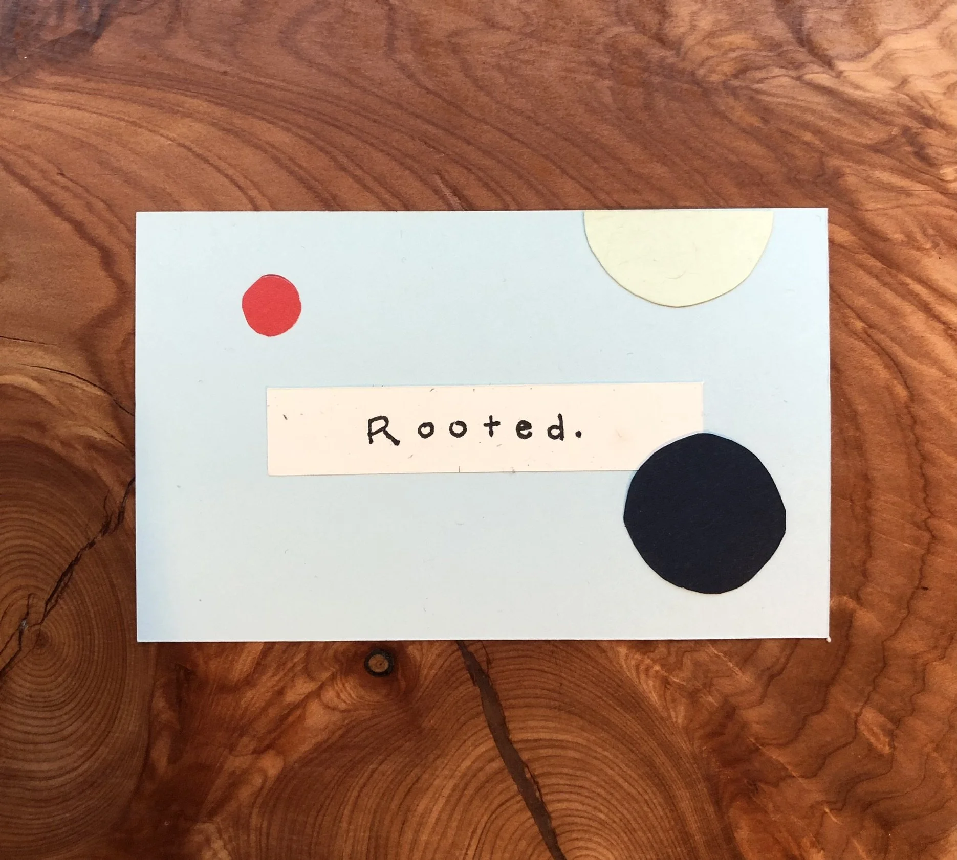 Rooted.JPEG