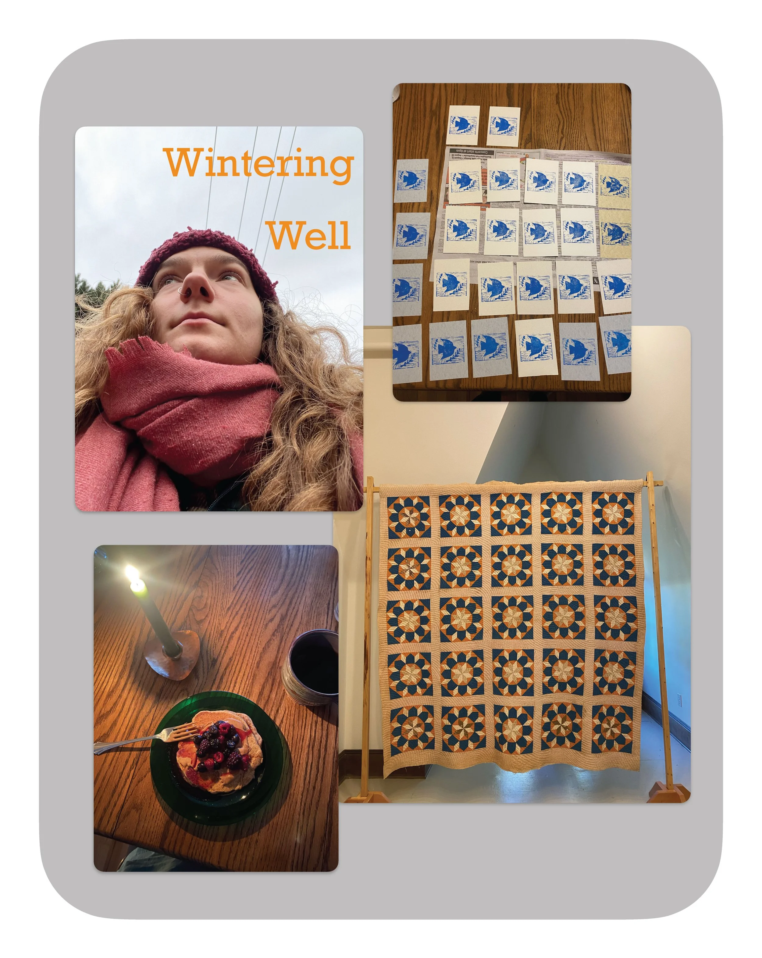 Wintering well.jpg