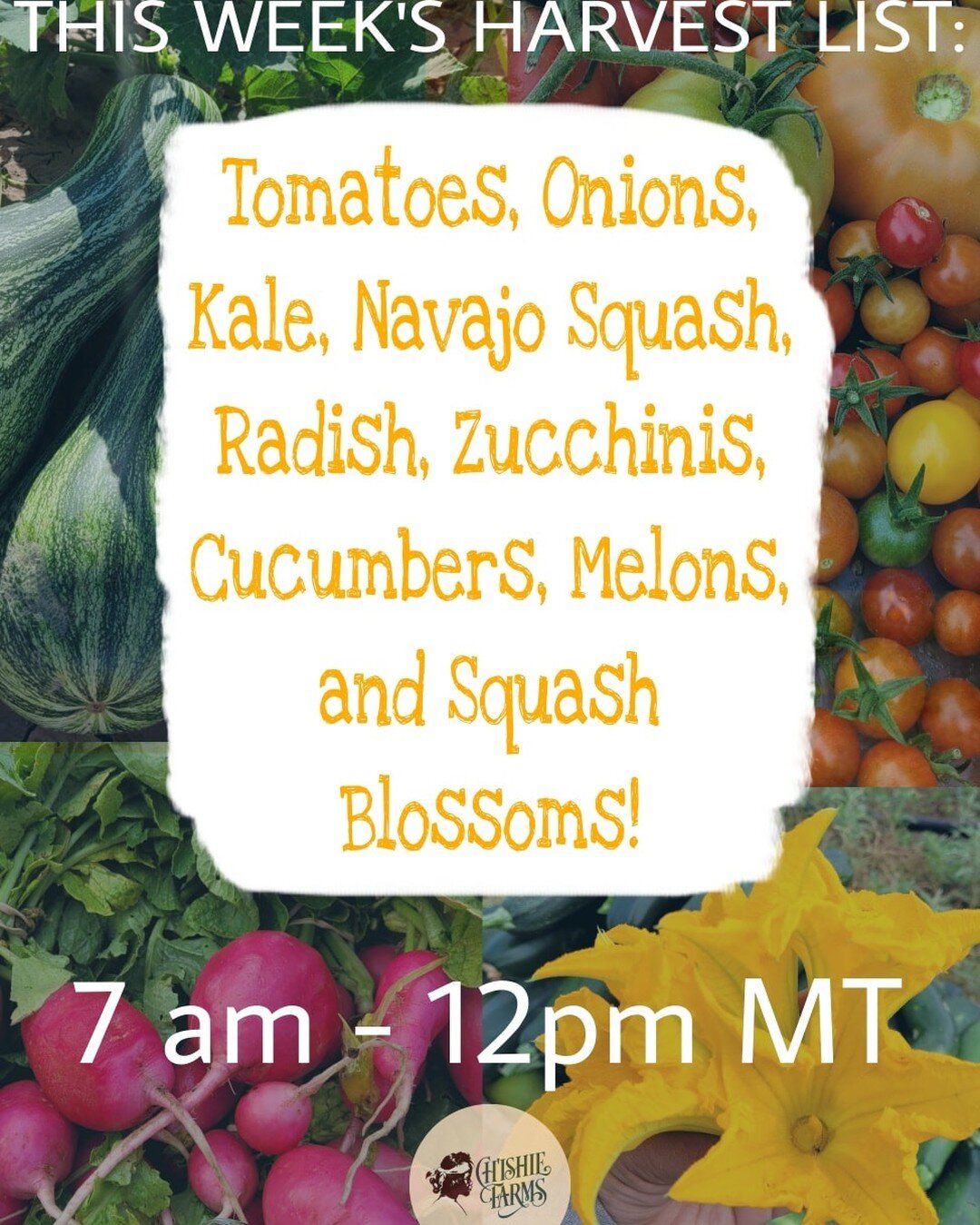 Good morning from Chishie farms! Today we will have these produces on the table at the farmers market, City Hall parking lot. Come on by &amp; get your weekly veggies. 👍🙂
#chishiefarms #harvest2022 #vegtables #navajogrown #farmersmarket #flagstaffa