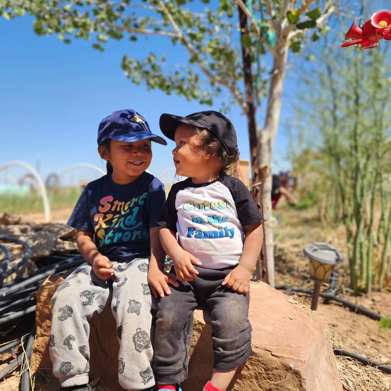 Nice weather is finally coming around, two little ones are out and about, transplanting &amp; planting away, we just planted two fields of corn &amp; now getting started on the third field. Busy! busy! 🌞💪🌱

#chishiefarms #leuppaz #navajo #planting