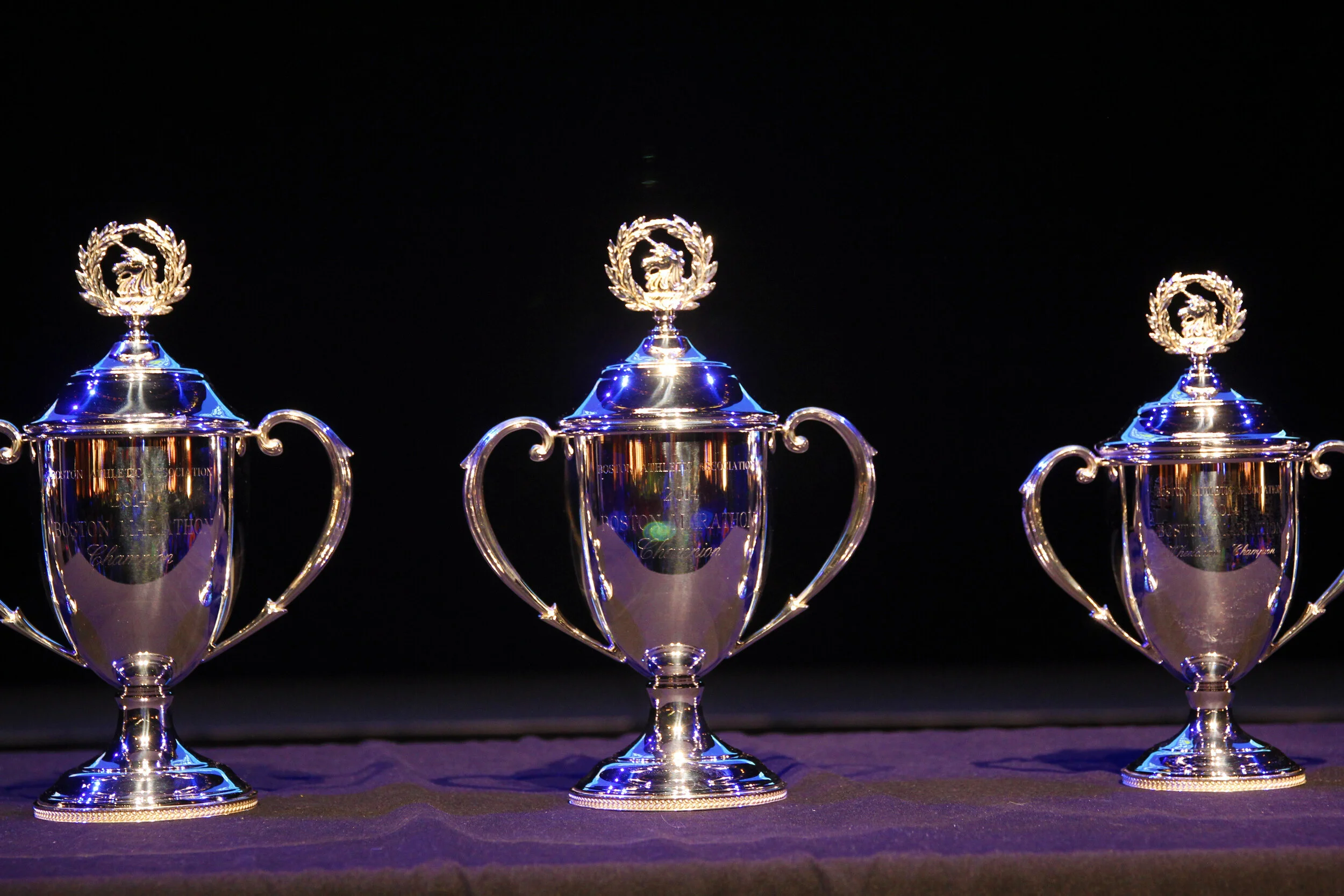 MVHCA Contest Winners