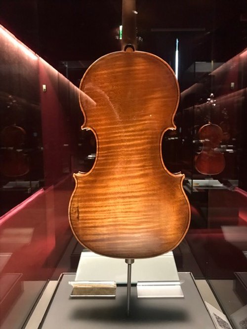 Violin back I.jpg