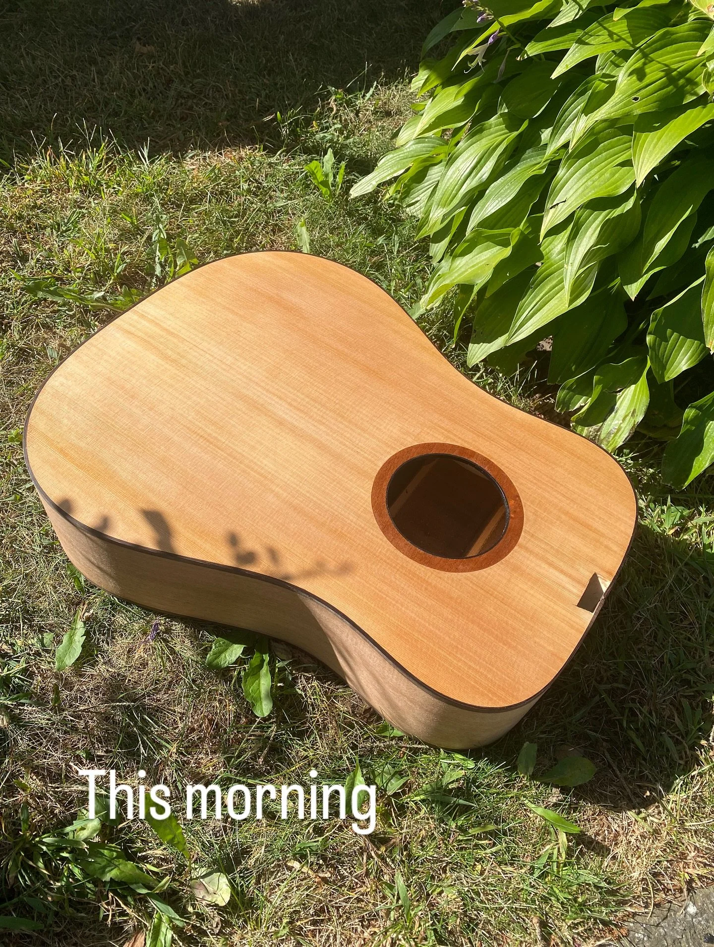 This morning, ceiling, the top and putting the stain on the back and sides.
.
#guitarmaker #customguitar #handcraftedguitar