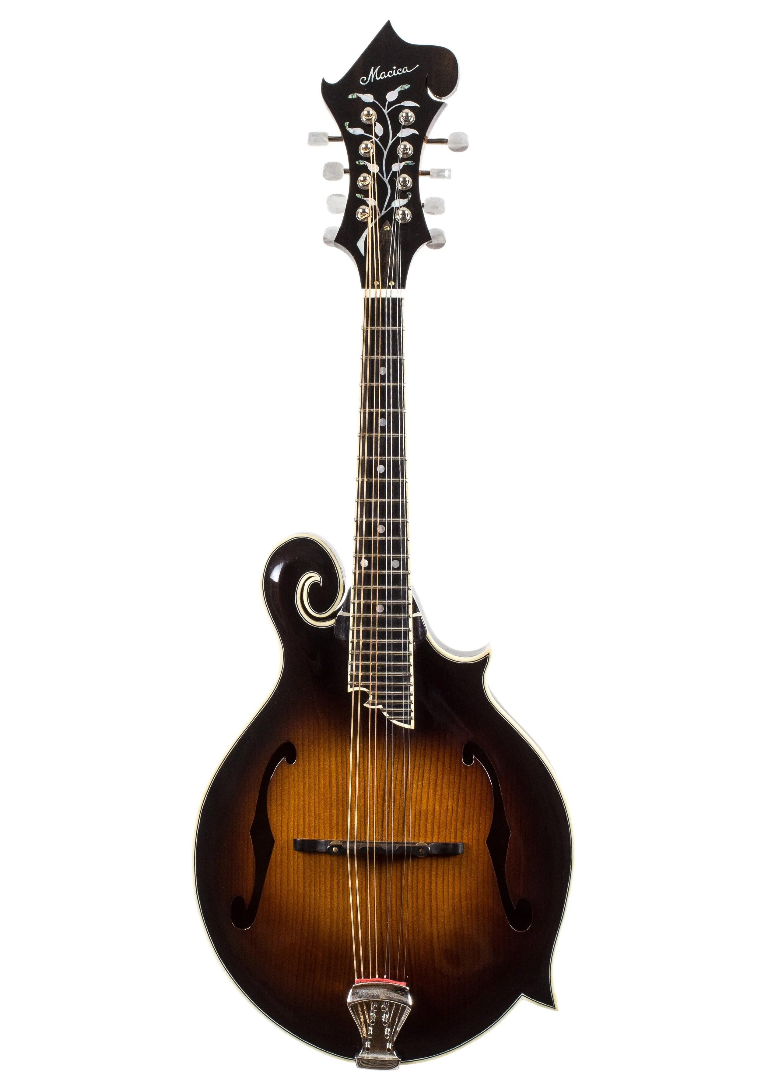 Macica Mandolin